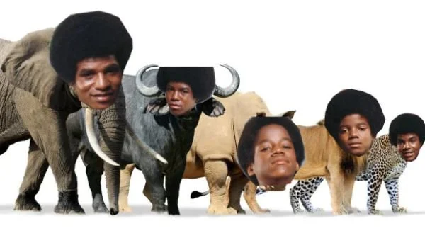 Satirische Darstellung einer grundlegend rassistischen Verwechslung von "Big 5" und The Jackson 5. Abbildung zur Veranschaulichung der Problematik in Das Letzte Wiki.