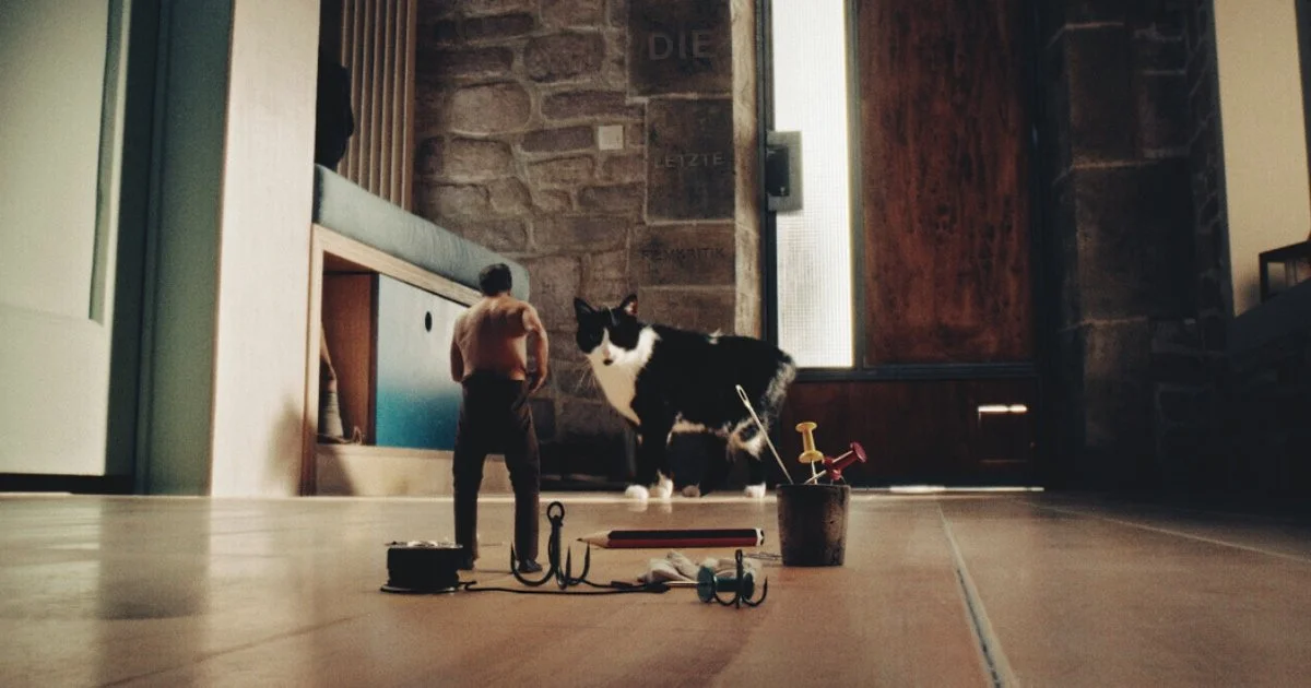 Der Mann der Immer Kleiner Wurde - Schrumpft auch inhaltlich