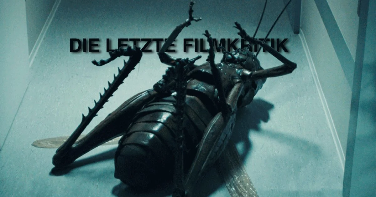 Der Kuss des Grashüpfers - Ein Sprung ins Bodenlose episode artwork