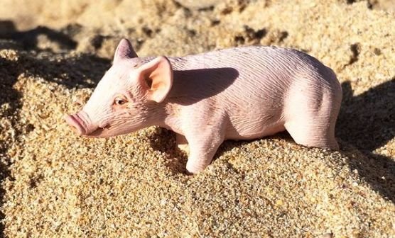 Loorie Wutz als Figürchen von Schleich - ein rosa Ferkel das im Sand steht und darin leicht versunken ist. Foto © Daniel Pook.