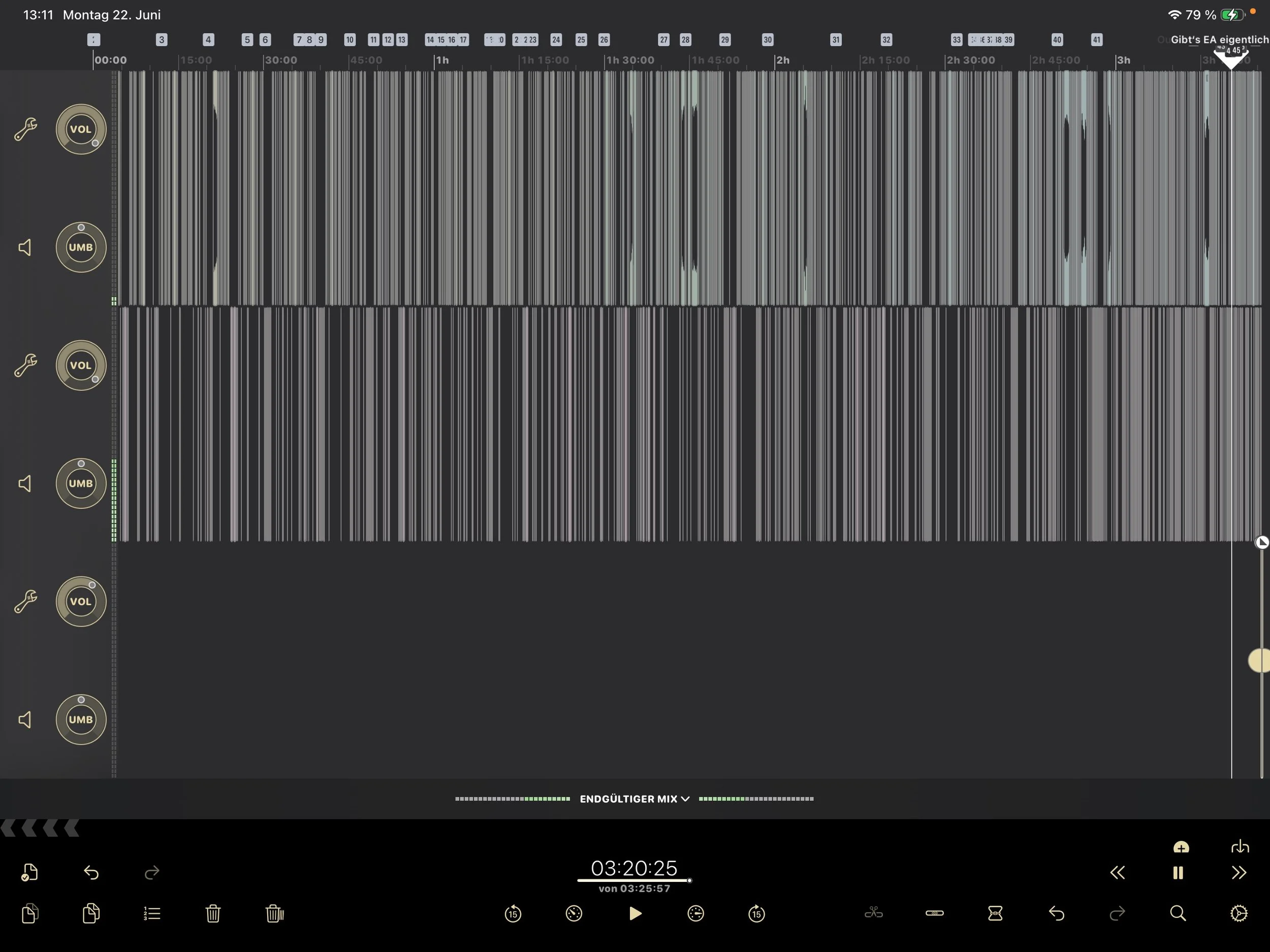 Screenshot einer Audio-Timeline mit fertig geschnittener Podcast-Episode. © Daniel Pook / Das Letzte Wiki.