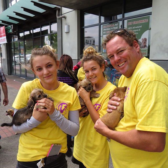 Join us now @earthwisepetev for an adoption event happening now!! Come down now and take home a furry friend🐶🐱❤️ #tragictomagic #tragictomagicfoundation #adopt #adoptdontshop #cats #dogs #dogsofinsatgram #earthwisepetsupply #earthwise #sandiego #ca