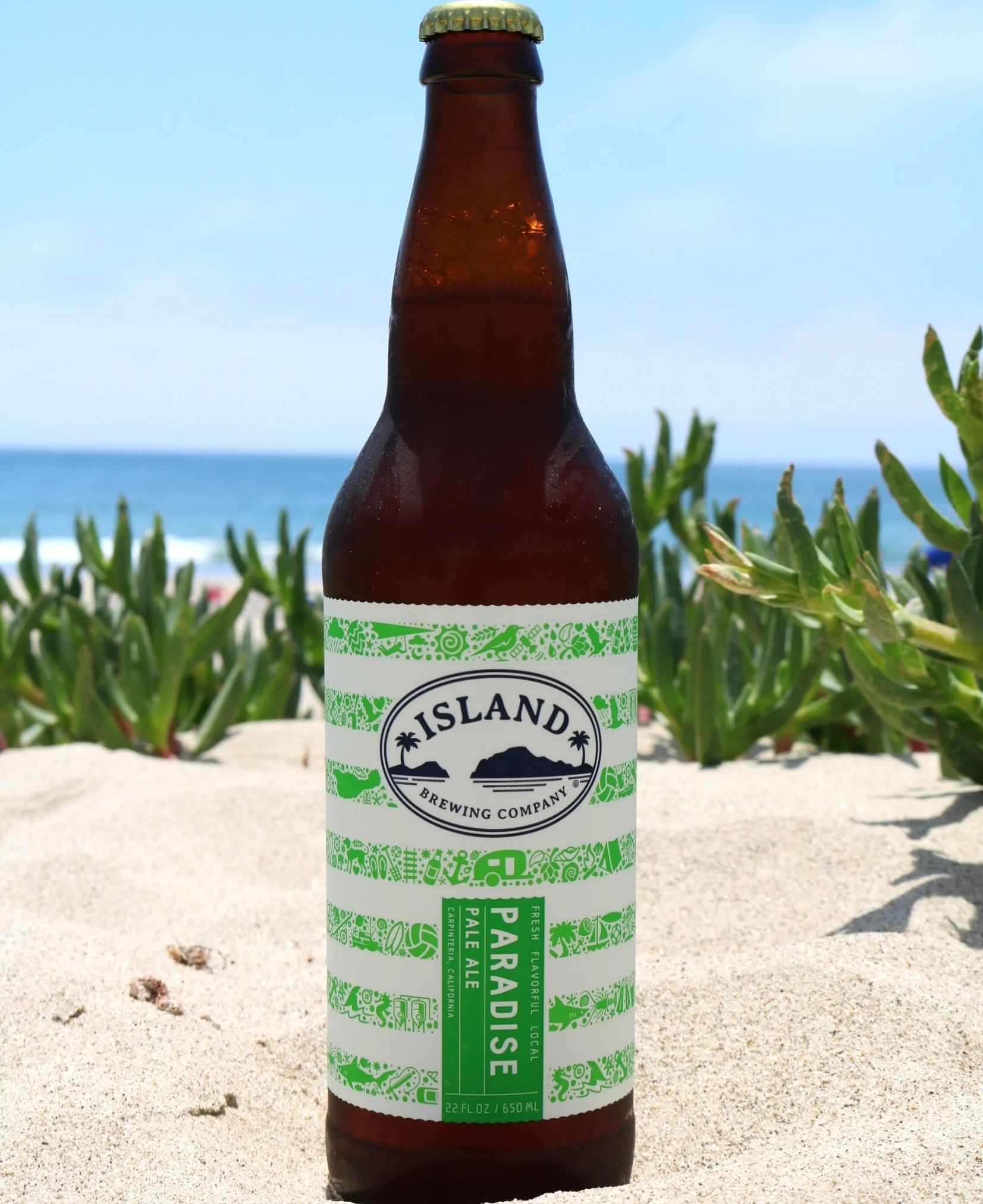 Paradise Pale Ale:  On Tap!