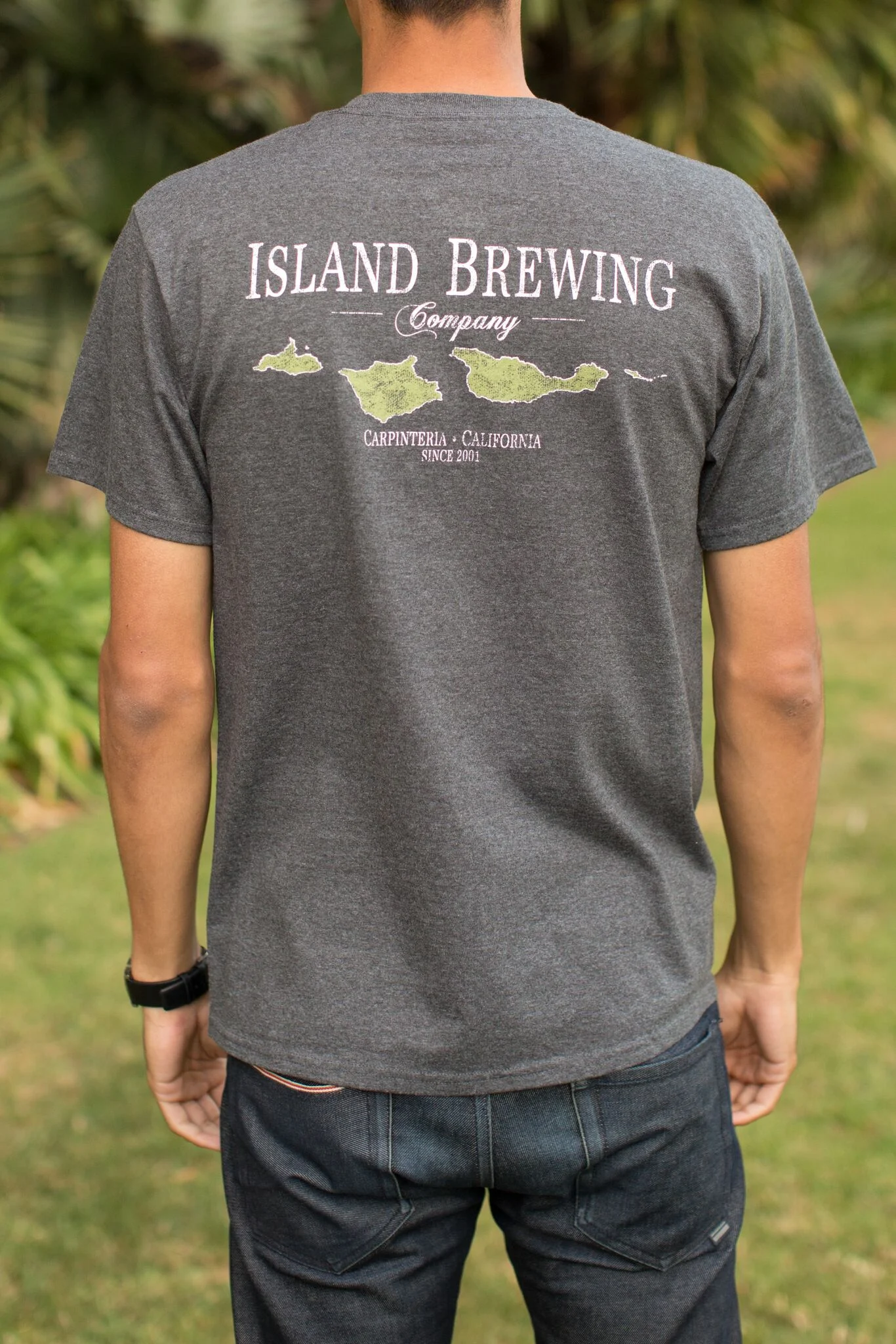 islandbrewinggreyislandsonback.jpeg