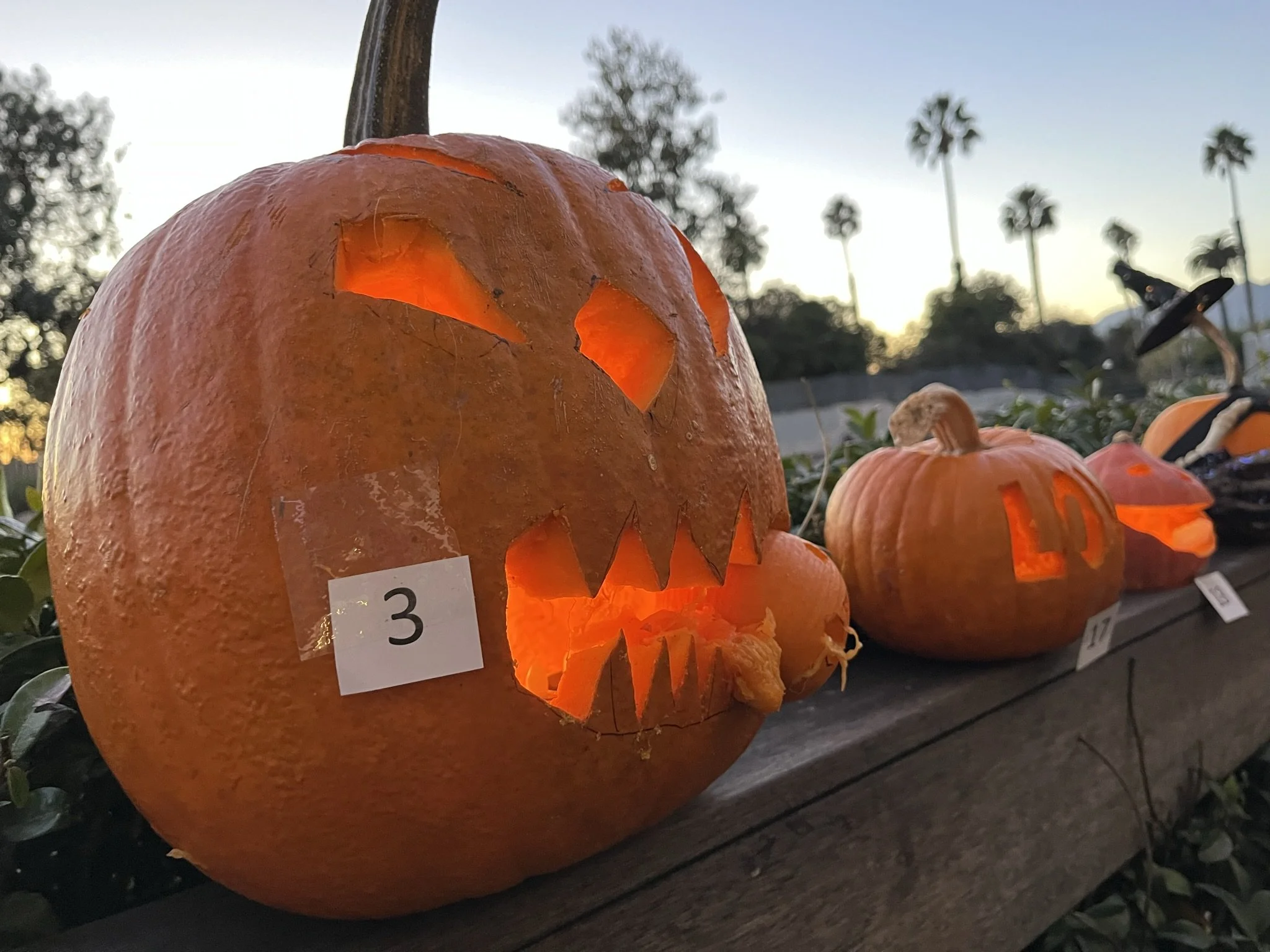 PUMPKIN CARVING CONTEST 5:30-7 pm!