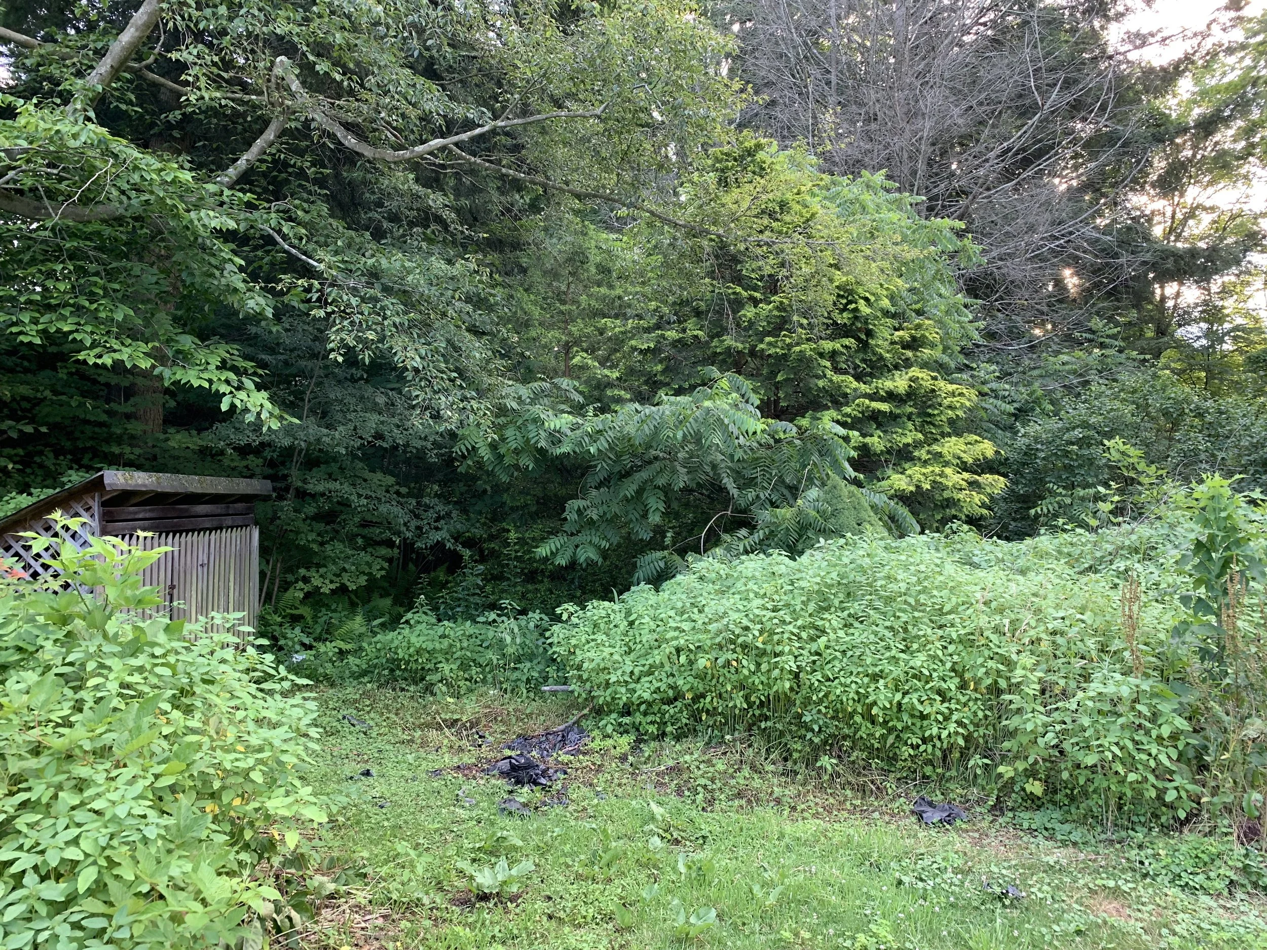 Indian Head, PA Home For Sale — Dynamic Auction Group