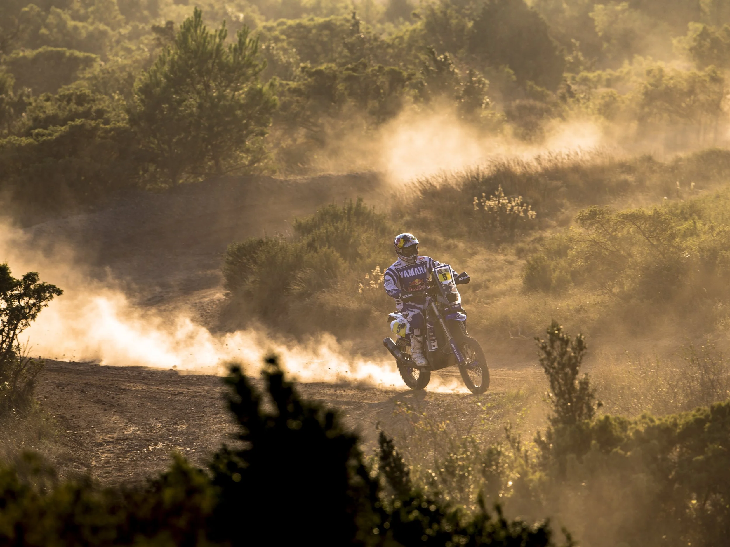 2017_WR450FRALLY_ACT_006.jpg