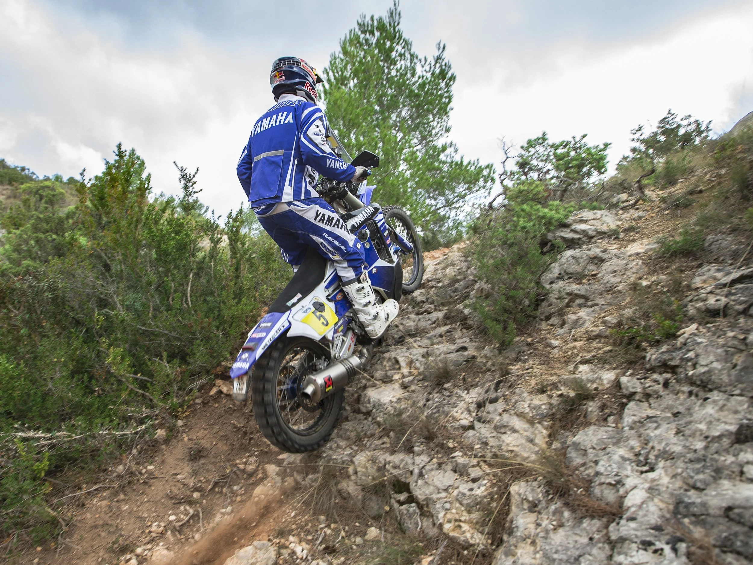 2017_WR450FRALLY_ACT_003.jpg