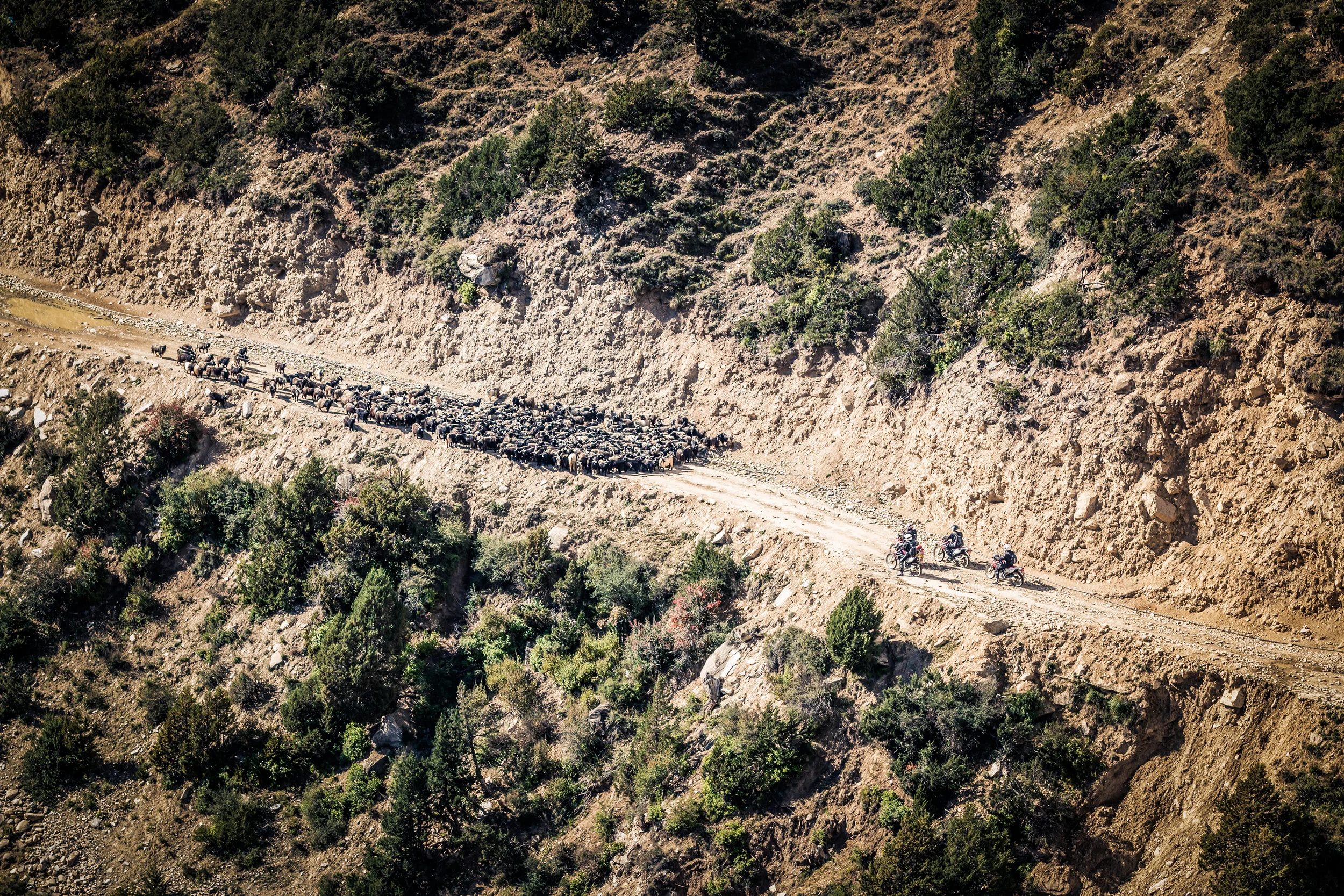 TWHMC-nepal-motorcycle-adventure-2016-0564-2-2.jpg