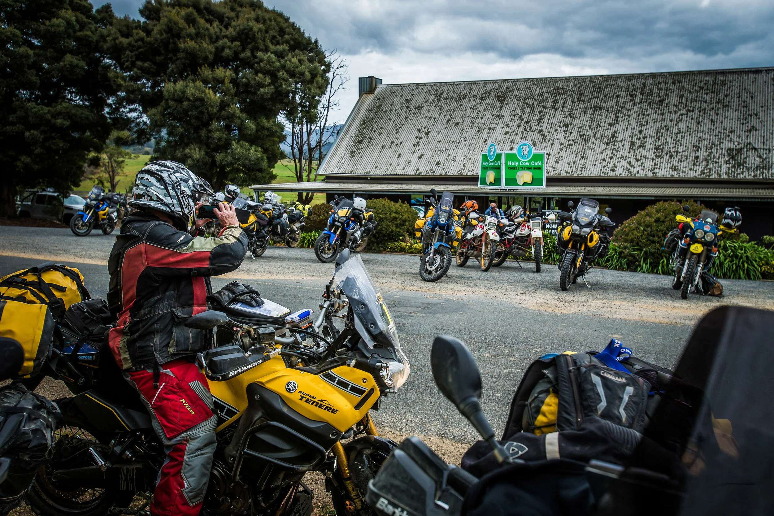 iK_TT_17-6375-2.jpg