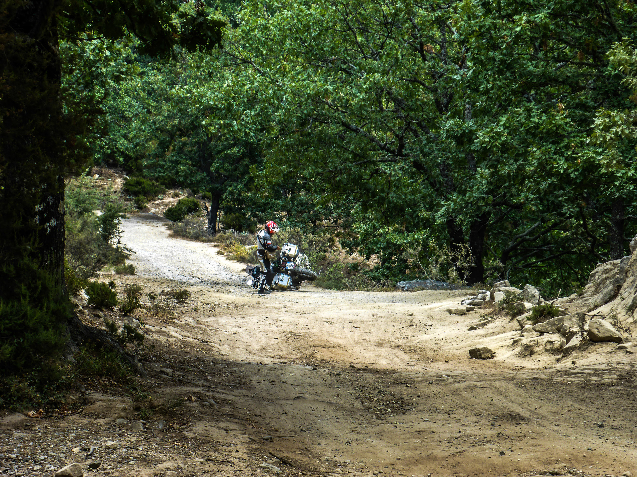 Aspromonte Upshift-28.jpg