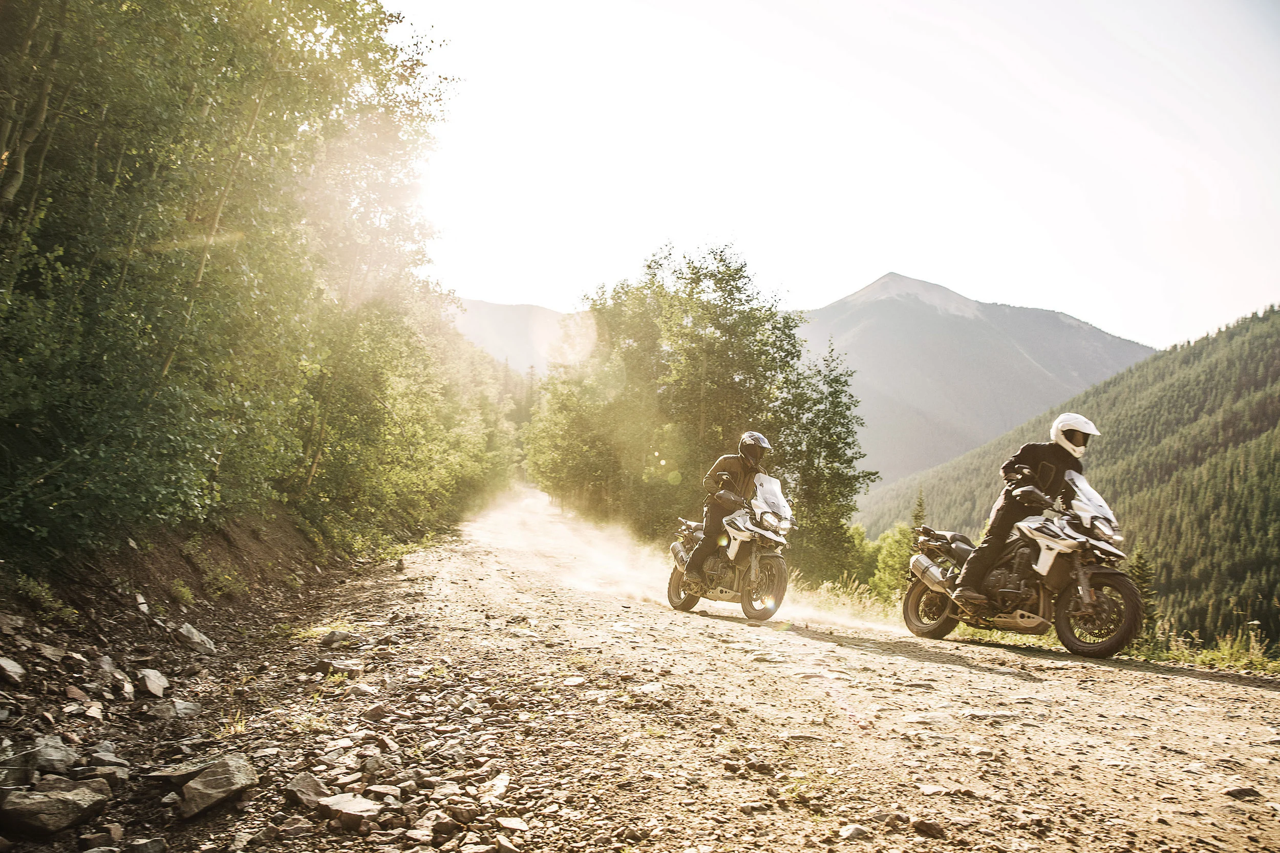 Hero_RidingTiger_1200_XCA__(2).jpg