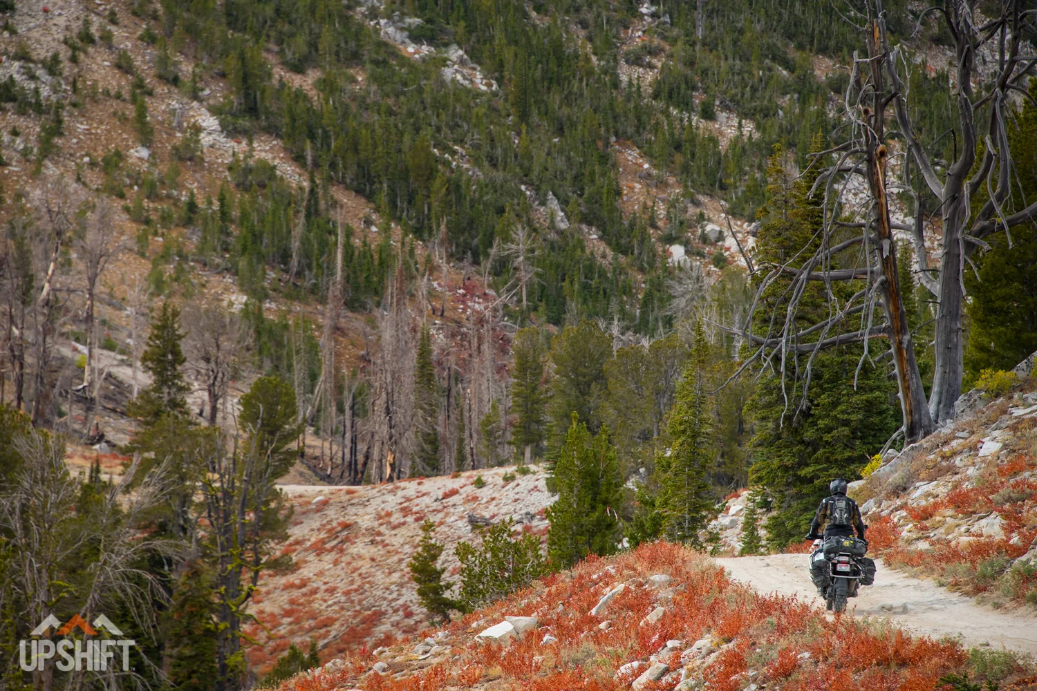 IDAHO_BACKCOUNTRY-017.jpg