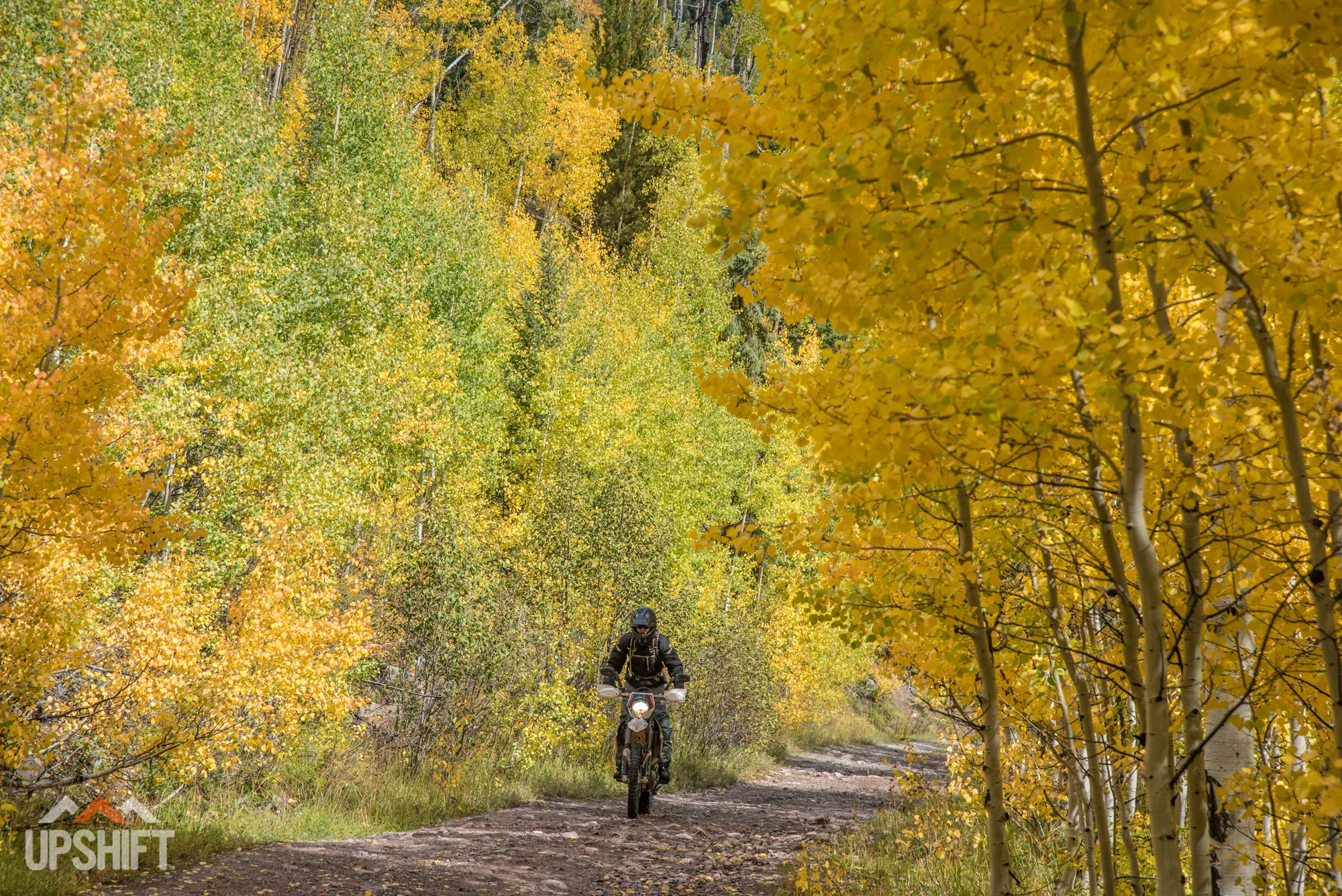 TIM BURKE COLORADO-10.jpg