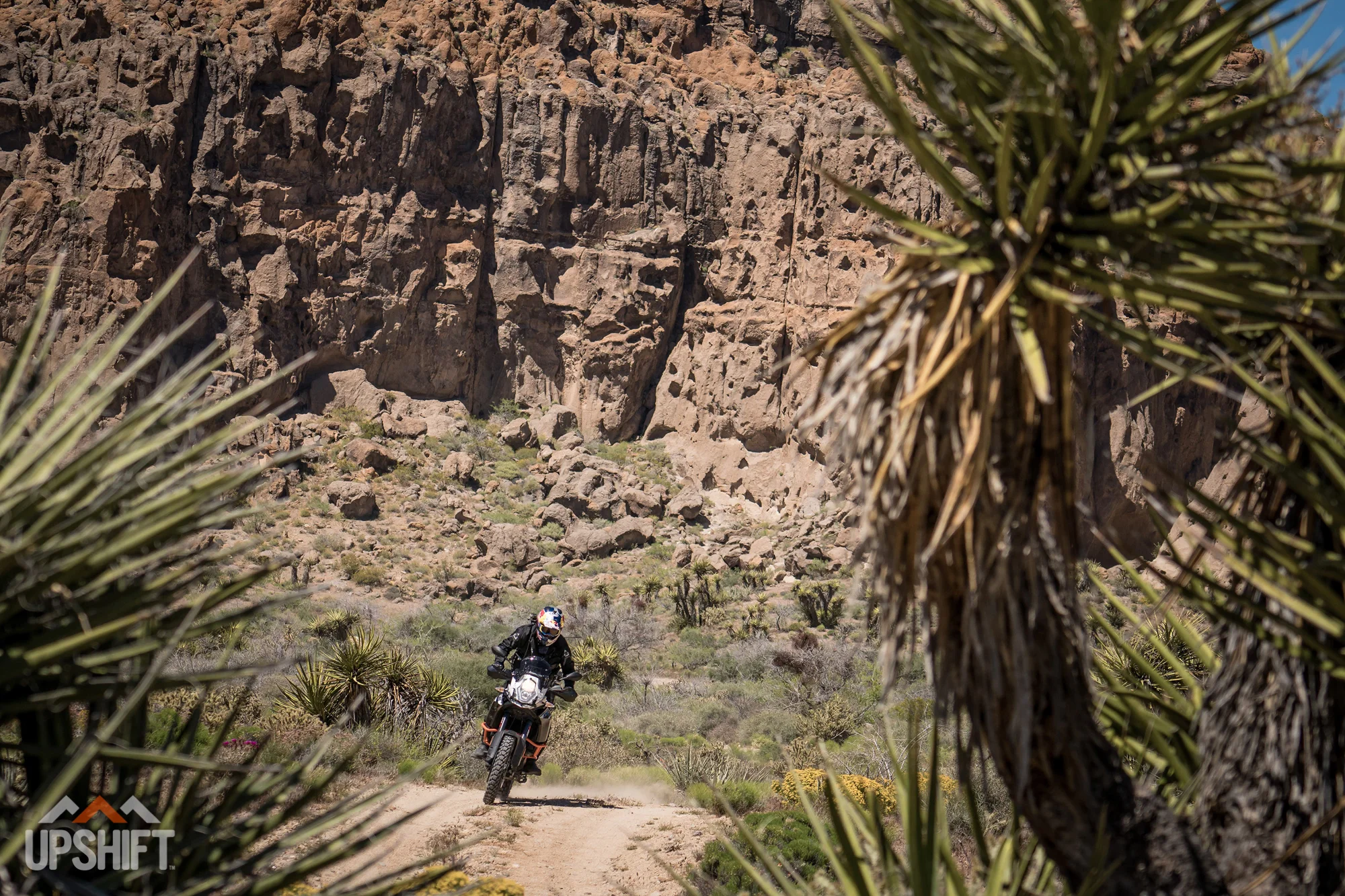 SCOT HARDEN - MOJAVE ADVENTURE-9.jpg