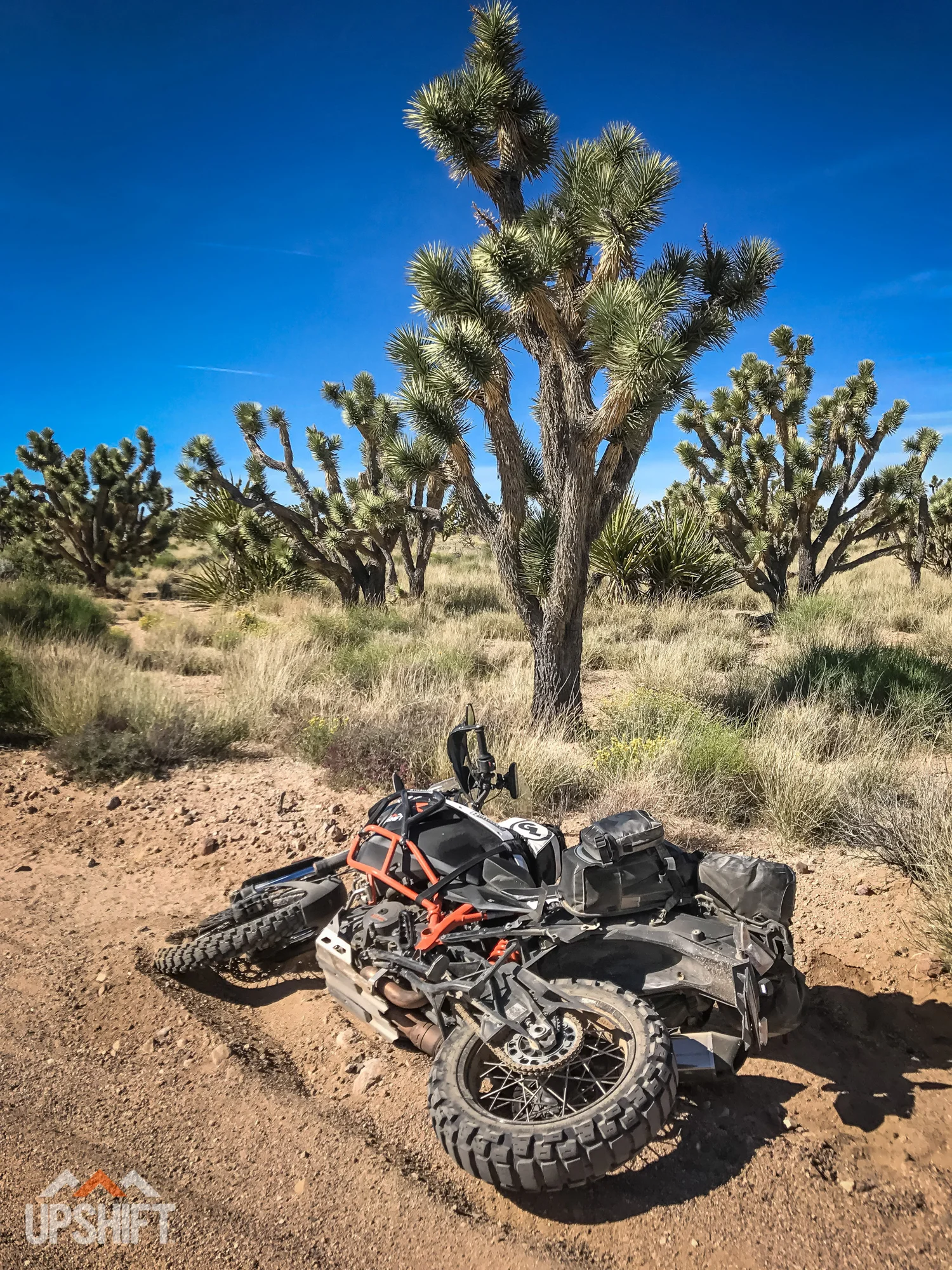 SCOT HARDEN - MOJAVE ADVENTURE-42.jpg