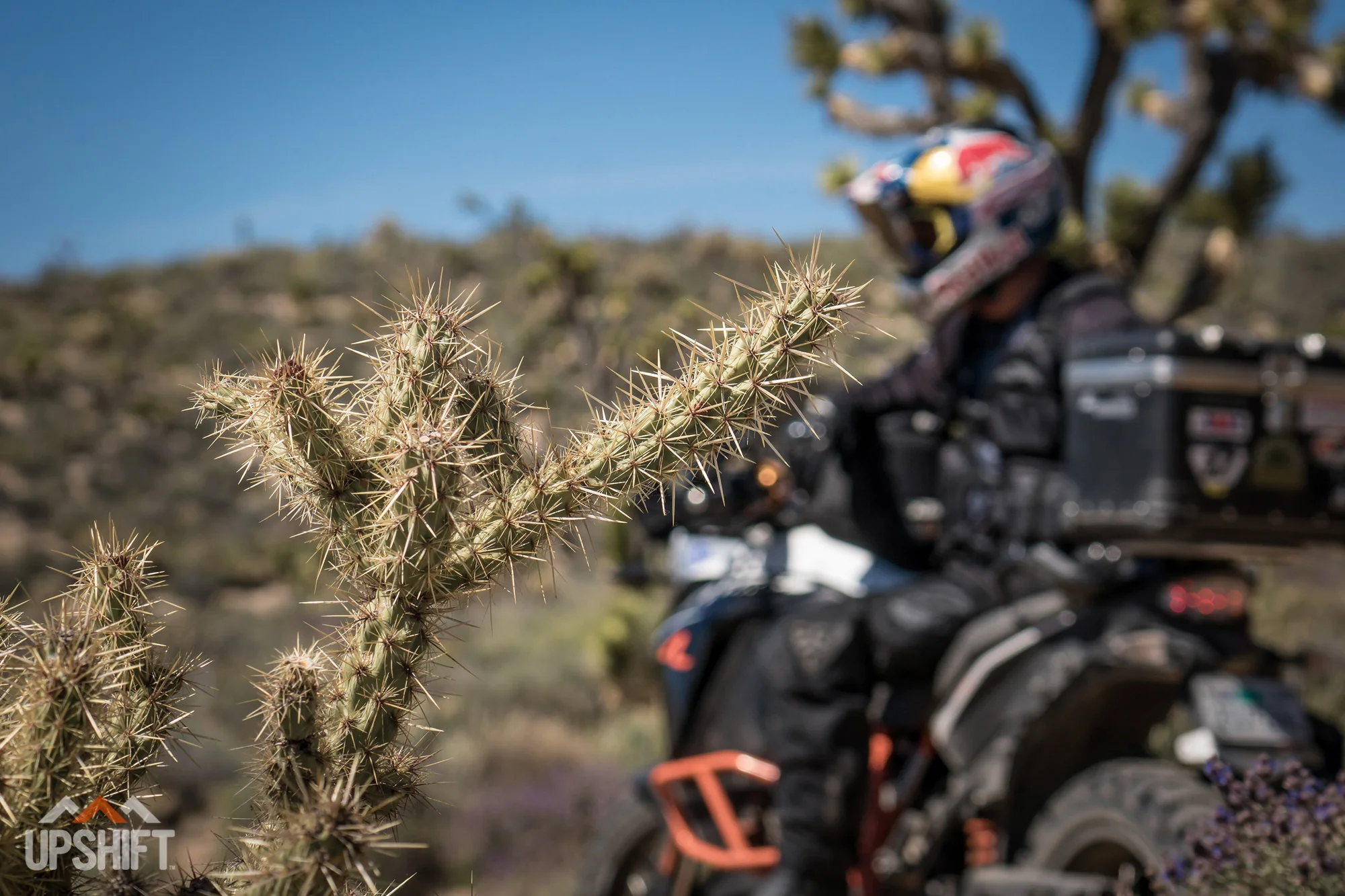 SCOT HARDEN - MOJAVE ADVENTURE-60.jpg