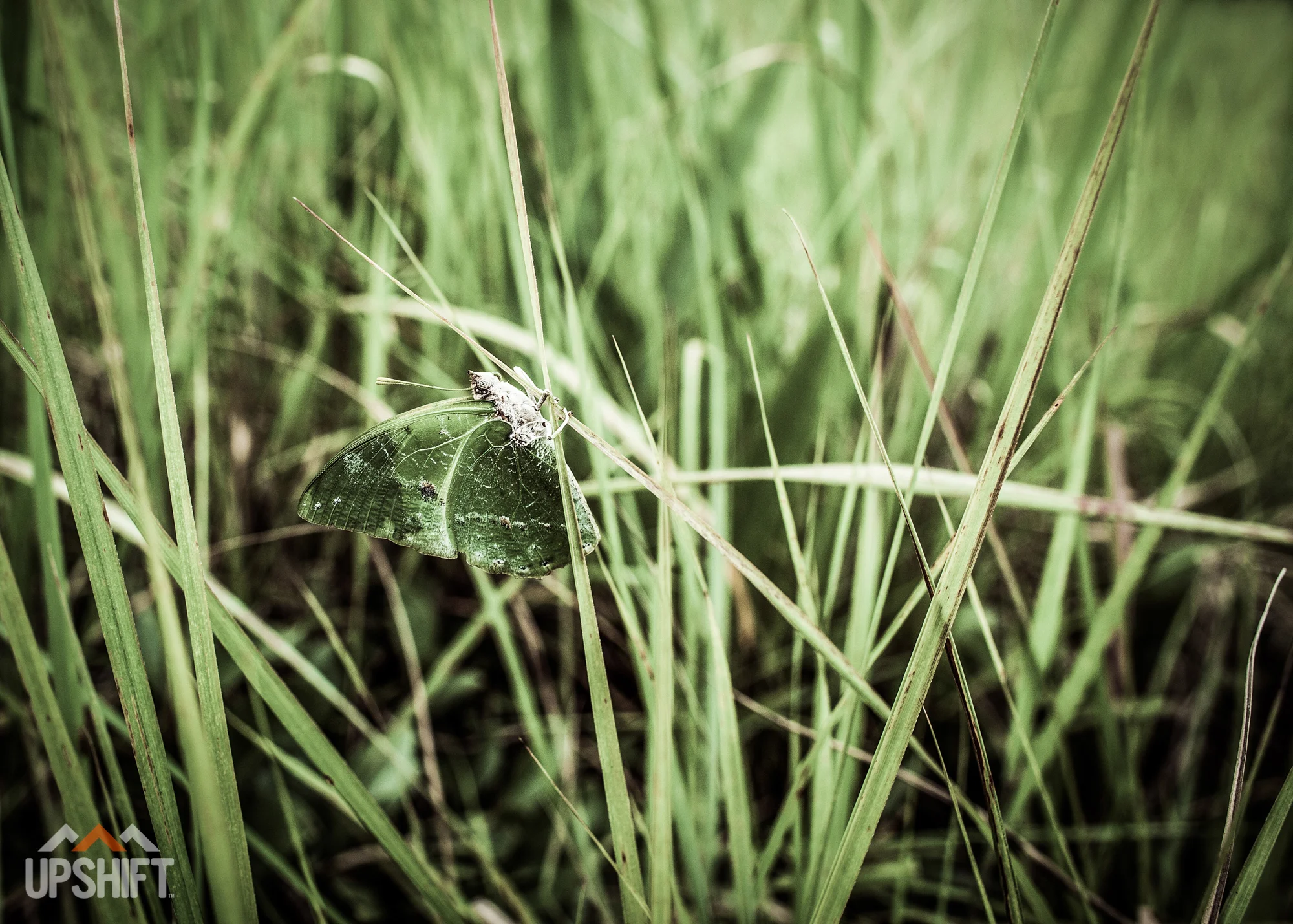INTO THE WORLD - CROSSING THE CONGO-5.jpg