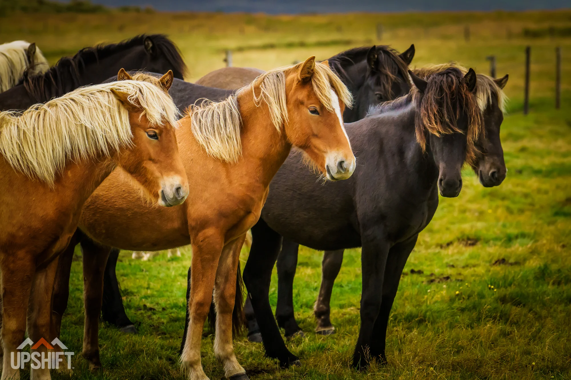 ICELAND DUALSPORT RIDE-34.jpg