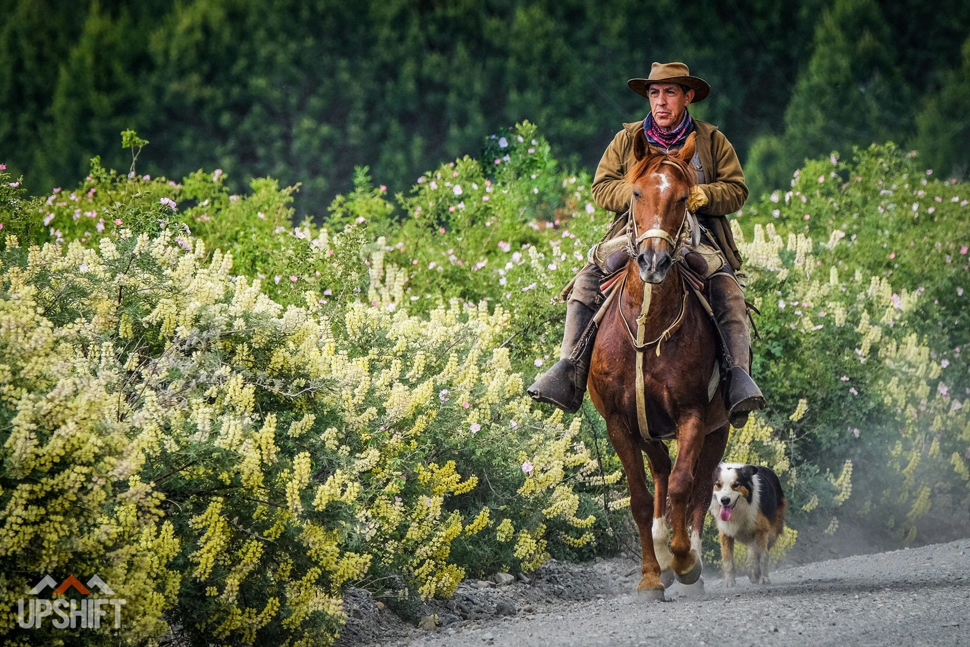 CHRISTOPHE NOEL - PATAGONIA-13.jpg