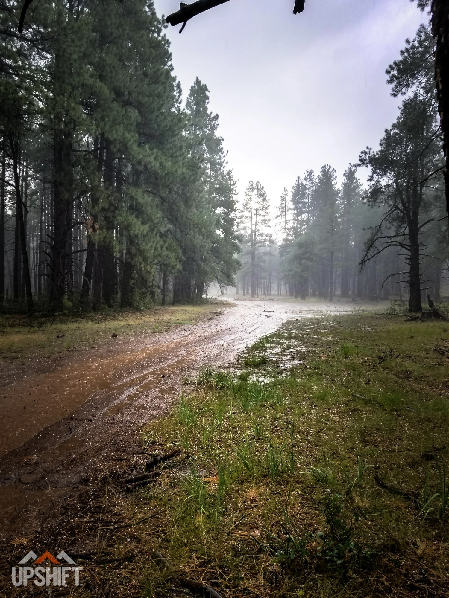 CHAD DE-ALVA - FLAGSTAFF-6.jpg
