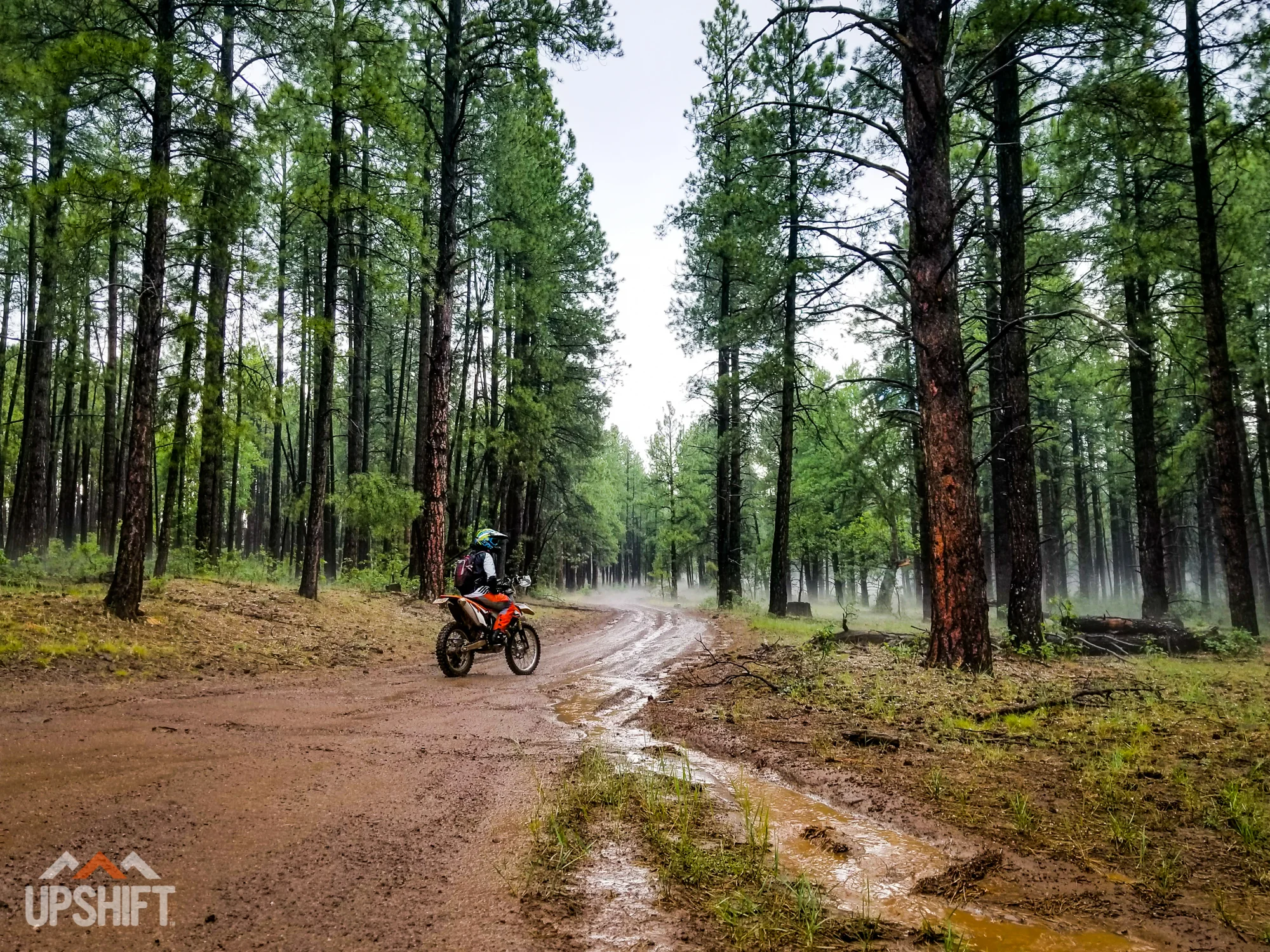 CHAD DE-ALVA - FLAGSTAFF-7.jpg