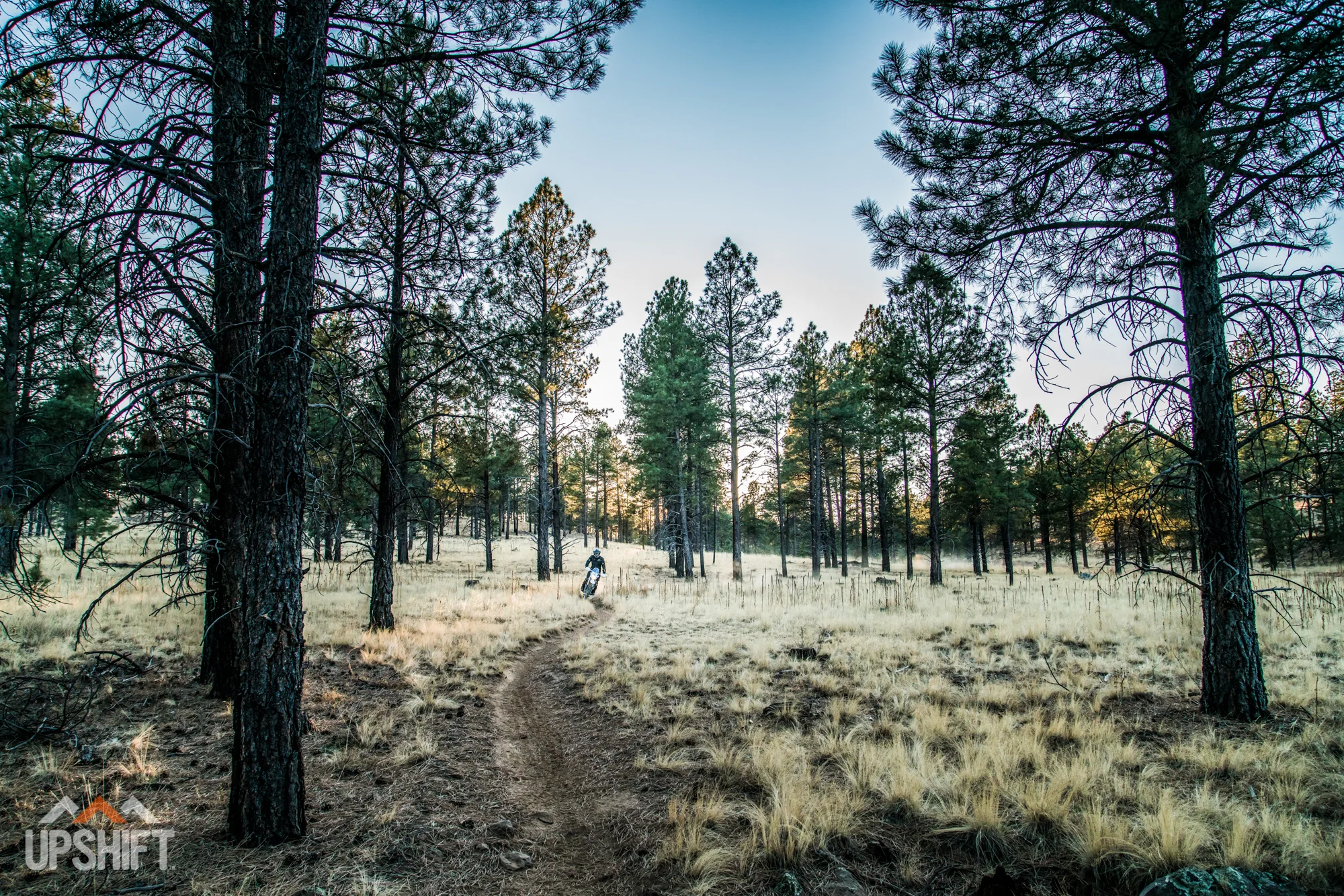 CHAD DE-ALVA - FLAGSTAFF-18.jpg