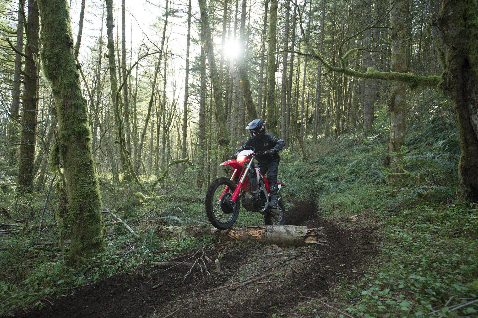 19 Honda CRF450X_Action_10.jpg