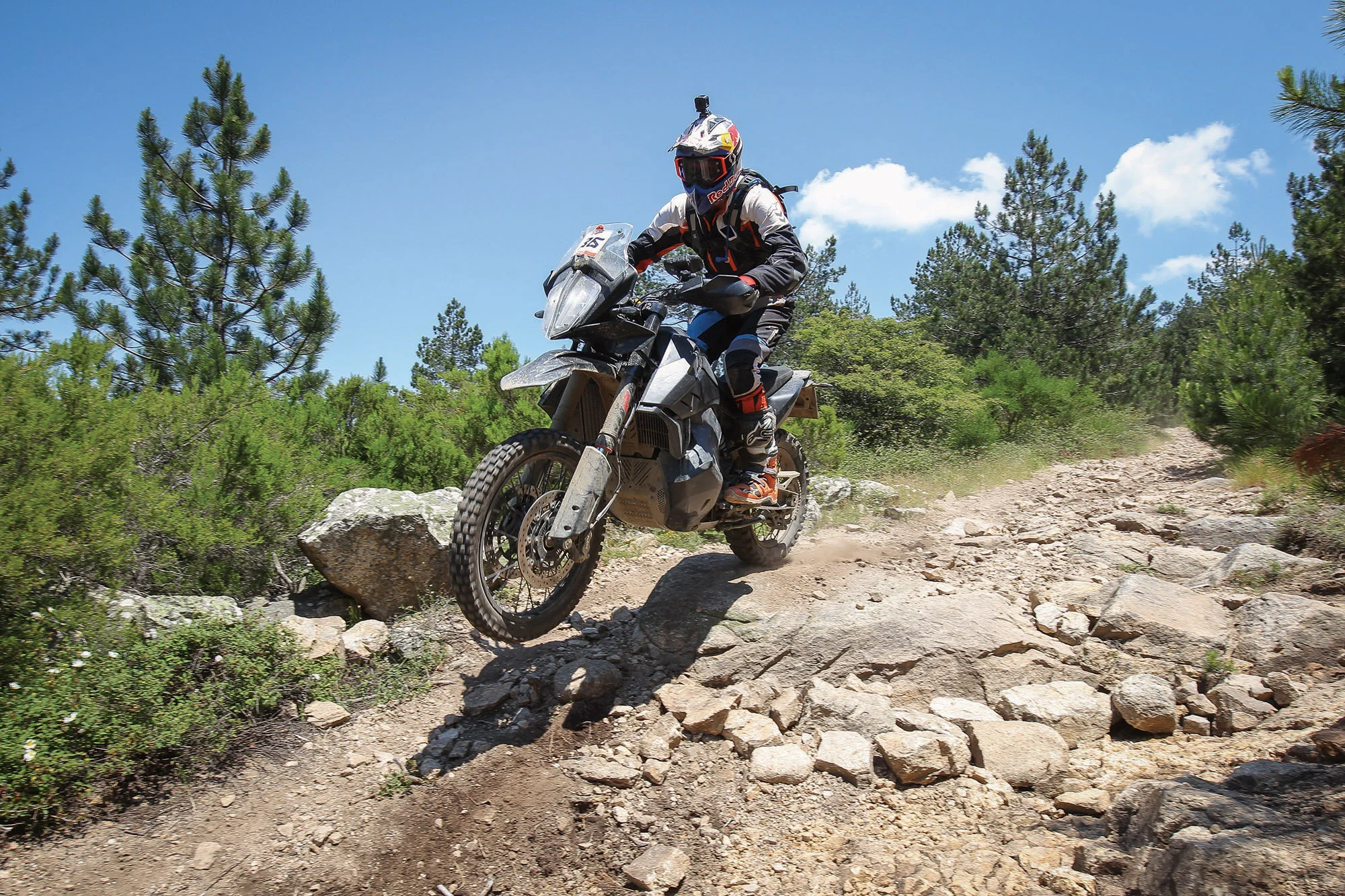 KTM 790 ADVENTURE R P2 in action.jpg