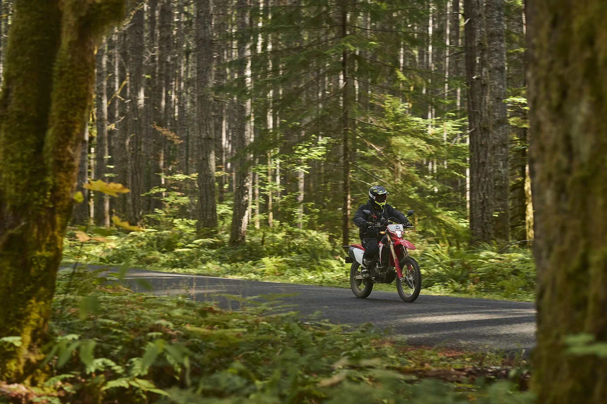 suzuki drz400 vs honda crf450l