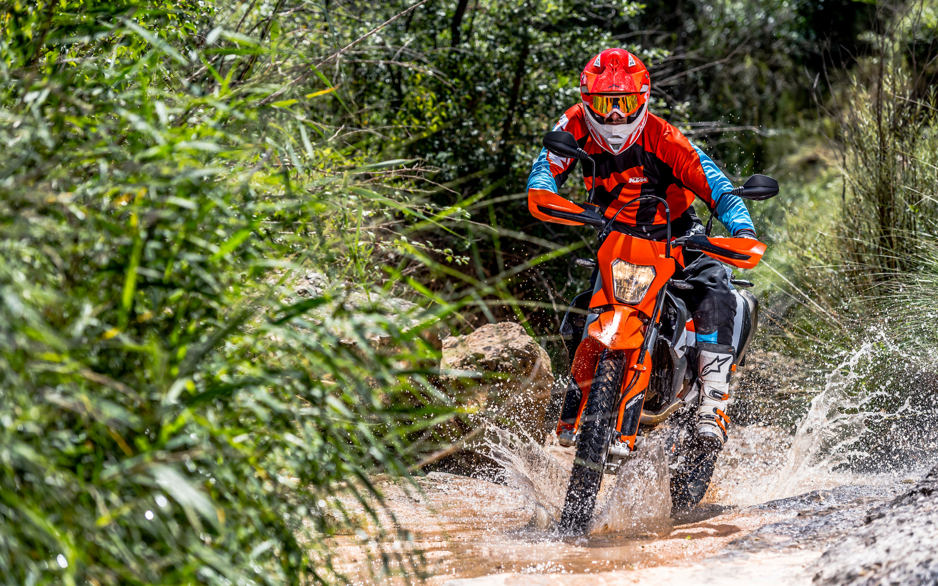 246844_KTM 690 ENDURO 2019.jpg