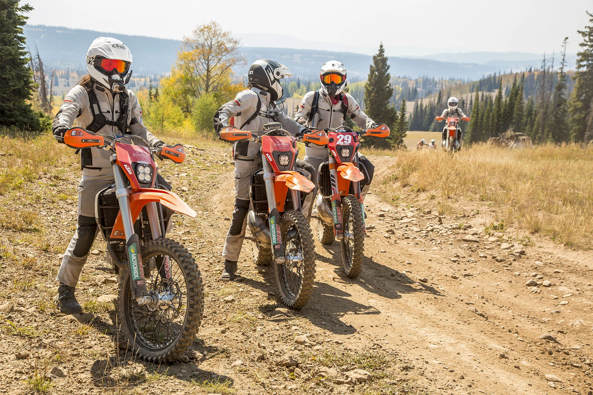 REVIT 2018 Women's Team 2.jpg