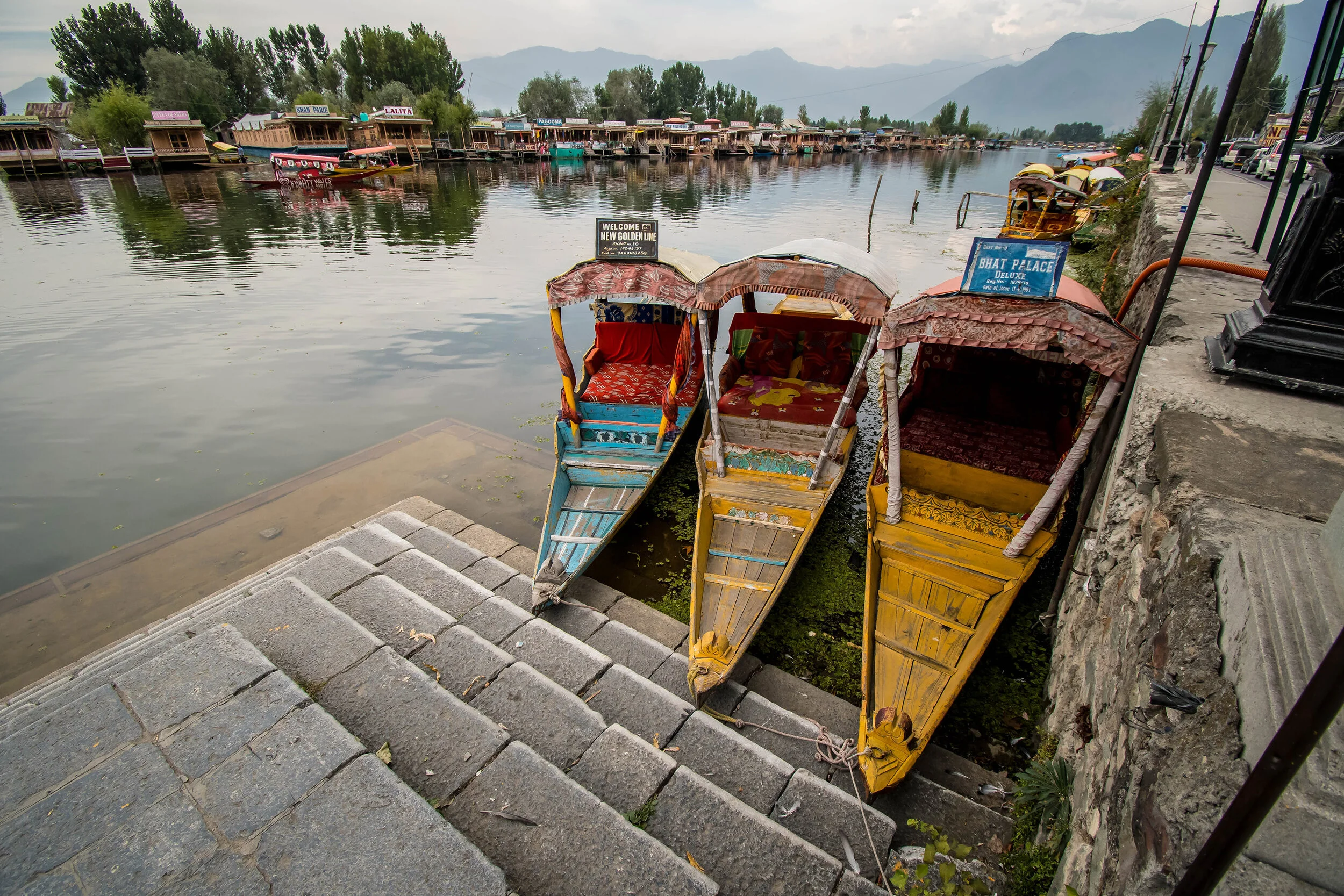 IndiaTrip2018-Cudby-032.jpg