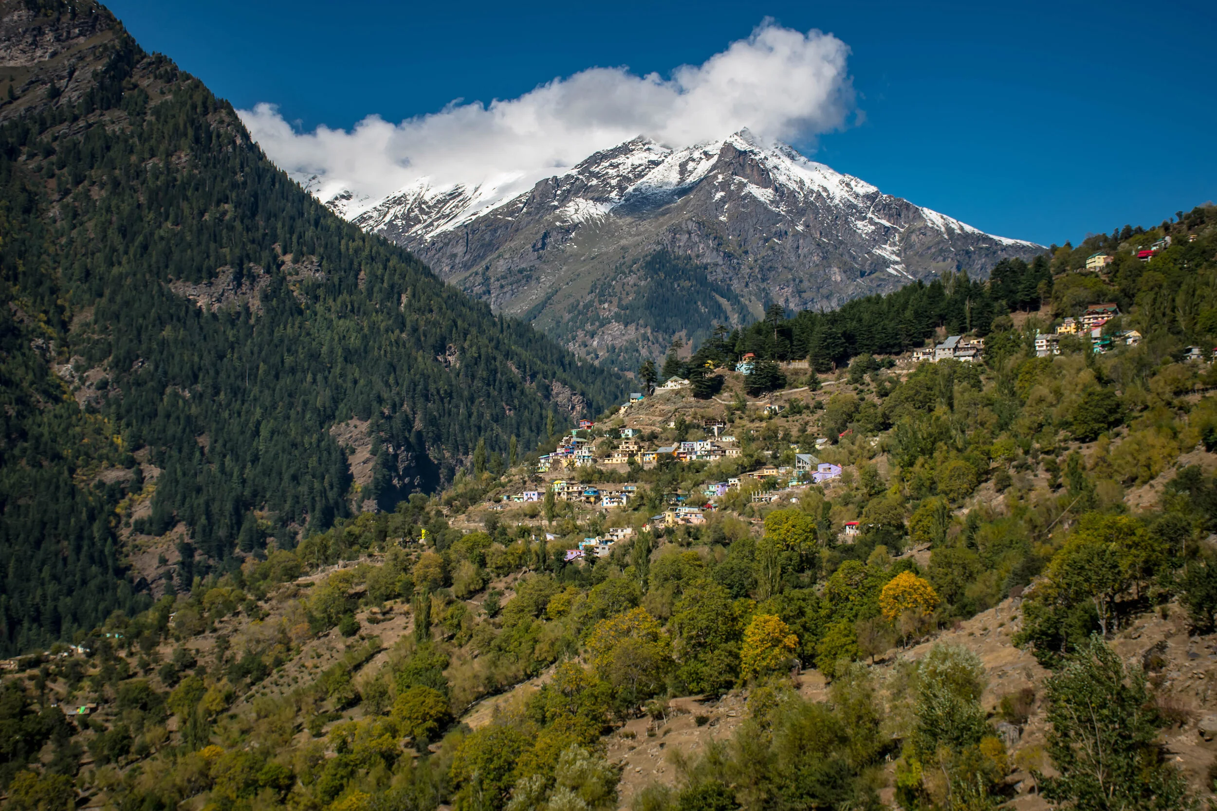 IndiaTrip2018-Cudby-141.jpg