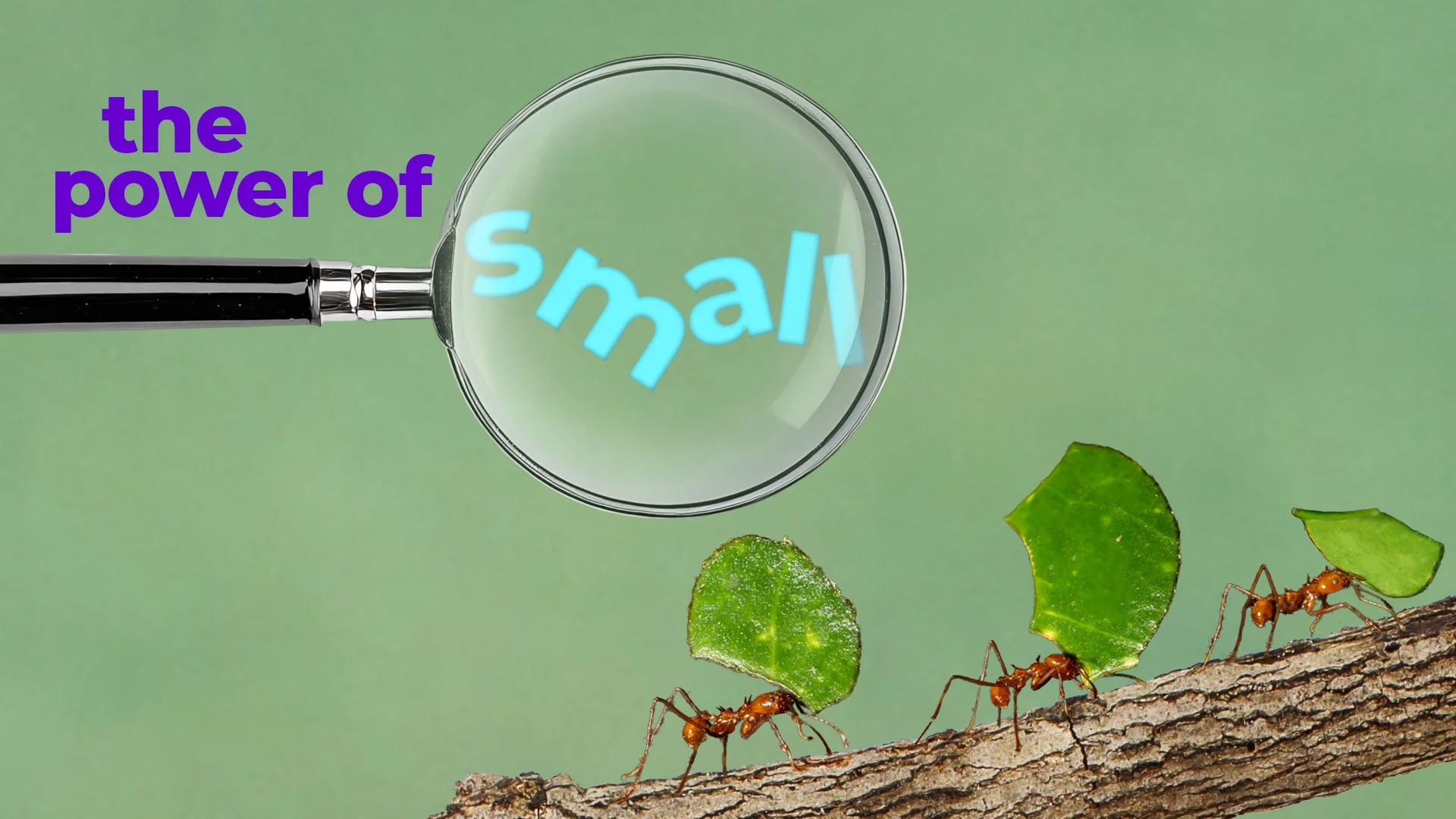 2601_The Power of Small_TITLE.jpg