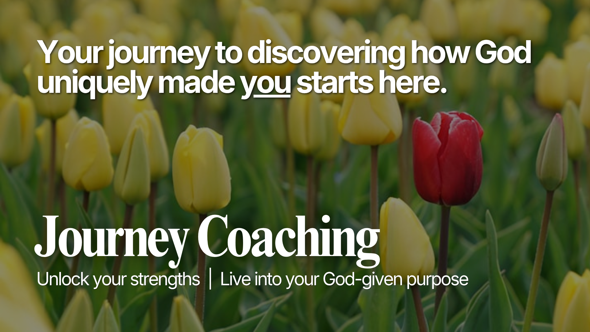 26 04 20 Journey Coaching Web.png