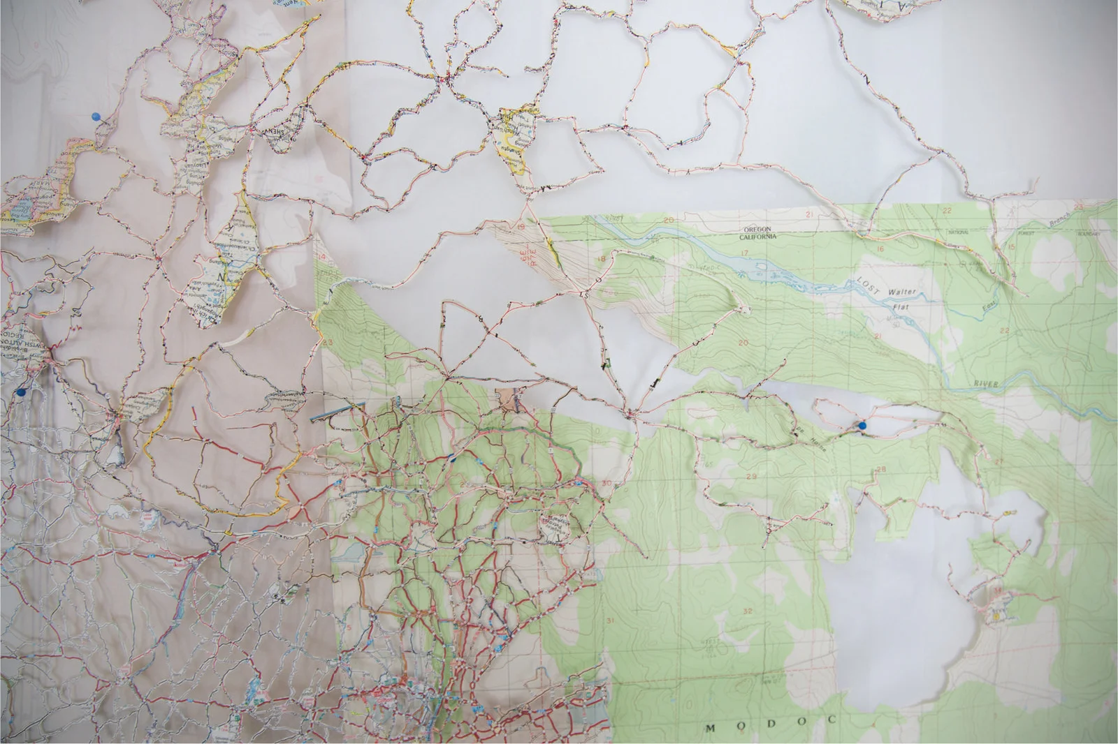 Michelle Daly, Re-imagined Landscape, detail
