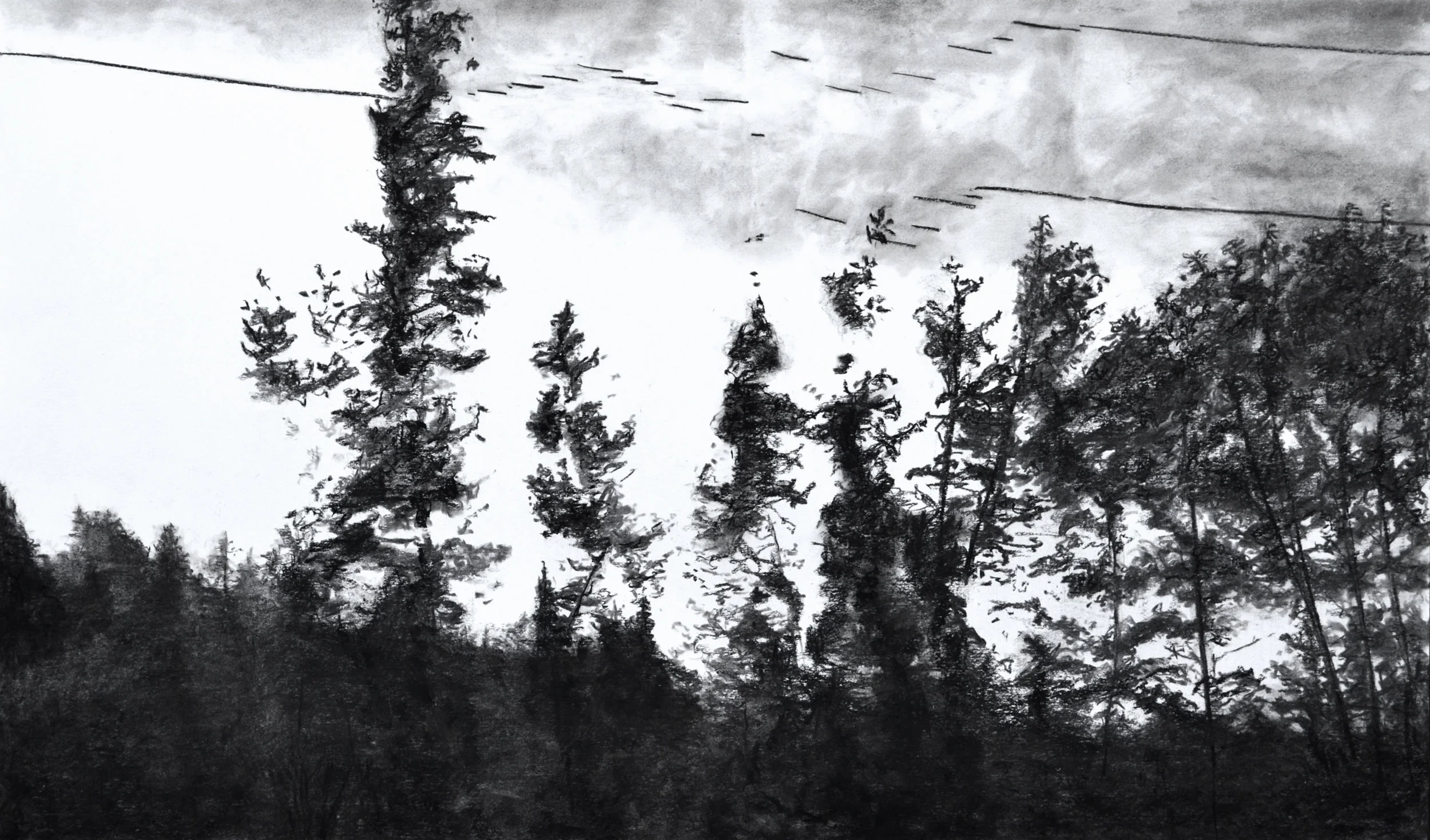 Skyline #3 Shelley Chamberlin, 2016 Charcoal on paper