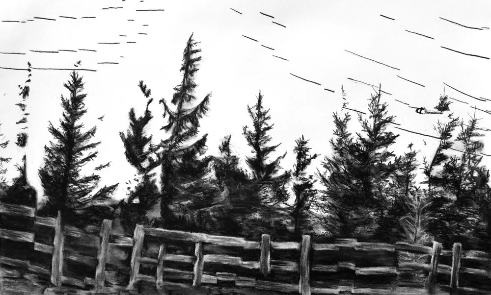 Skyline #1 Charcoal on Paper