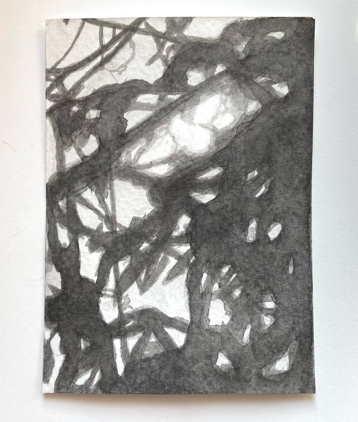 Watery spring sunlight glancing through branches. Painted on the equinox. The video this is drawn from is on my main page @shelleychamberlinart if you want to glimpse the source. Postcard 34 is on its way to you 💌

#loveviapost
#💌
#mailart
#ink
#dr