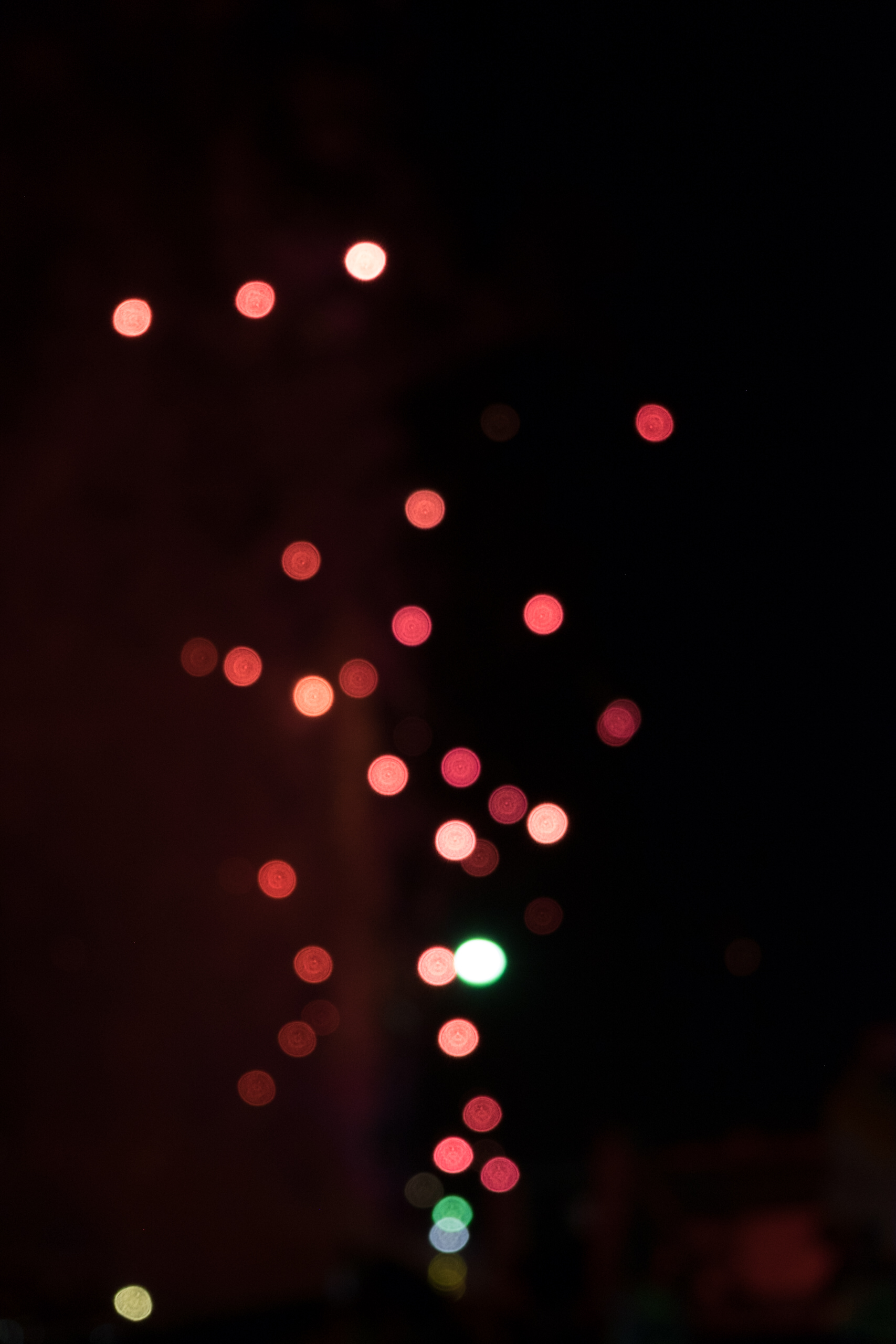 DSCF9951.jpg