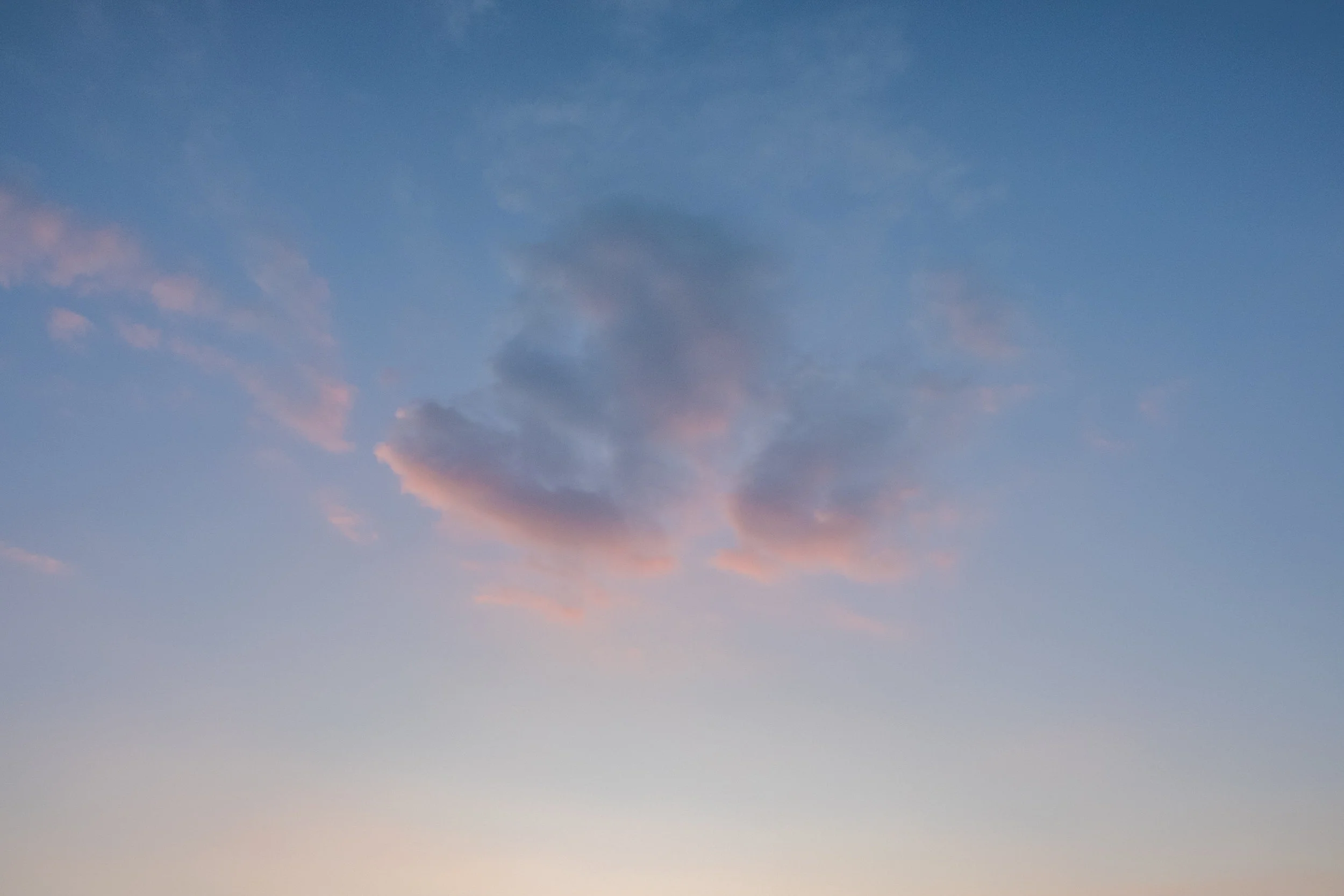 DSCF3686.jpg