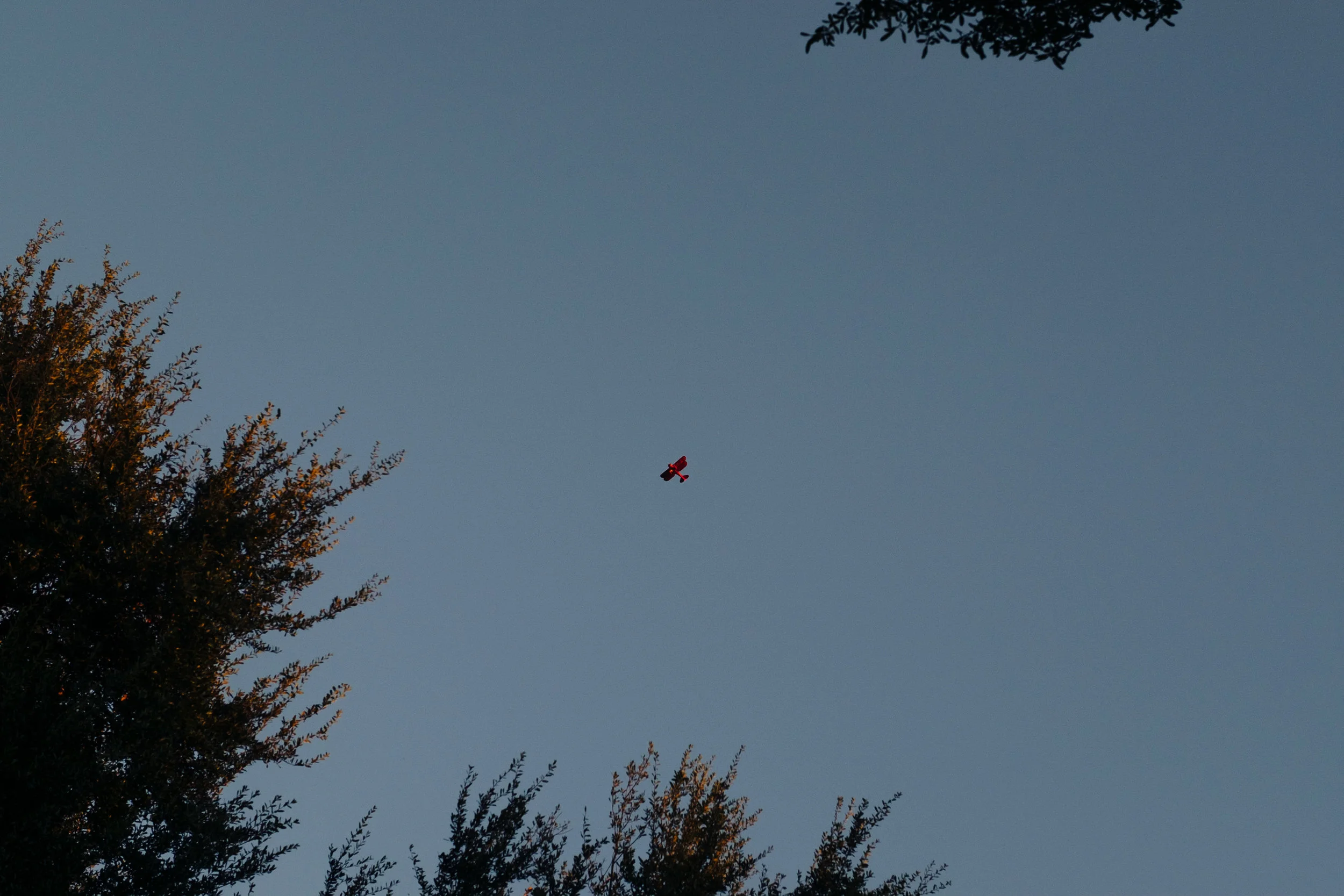 DSCF5858.jpg
