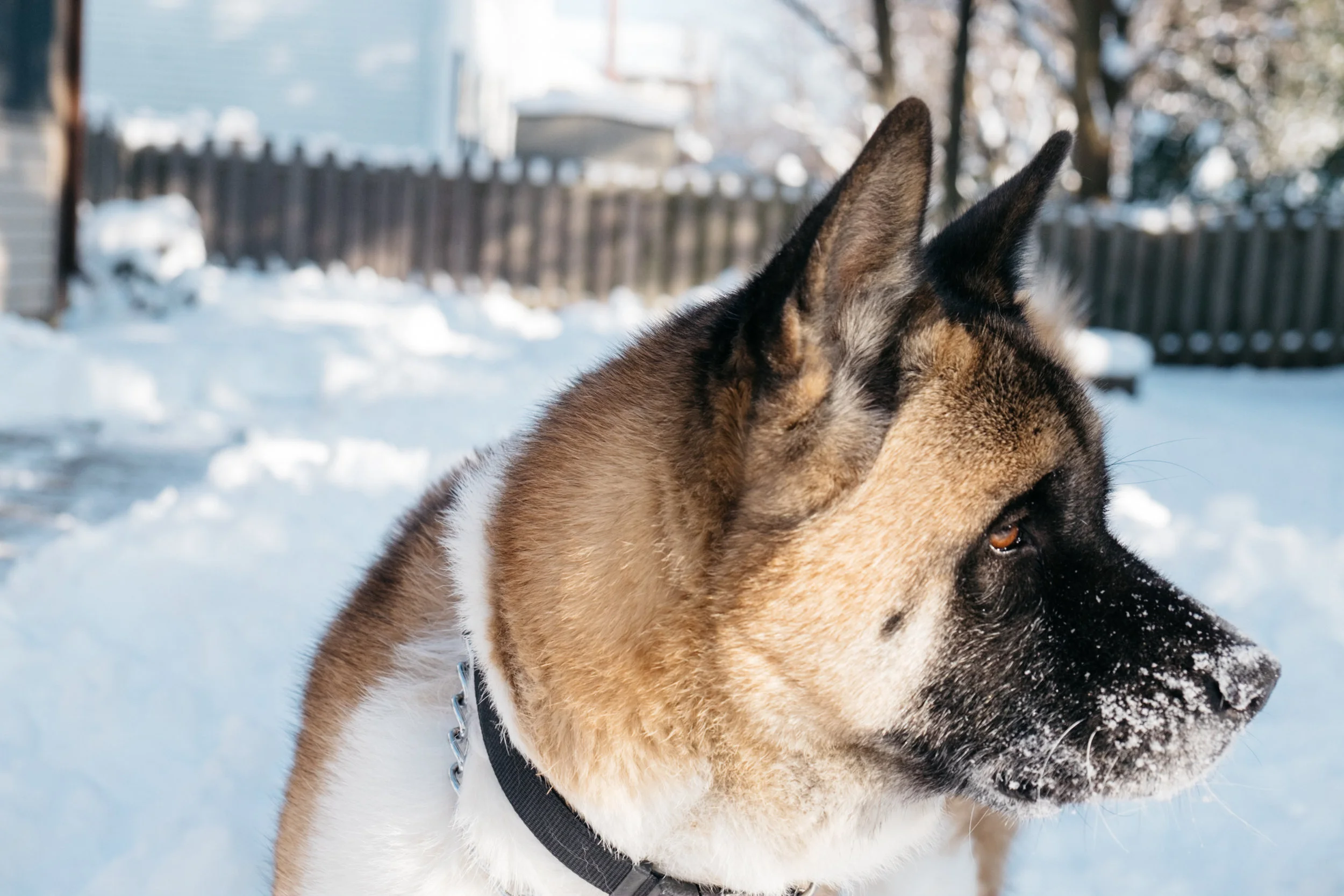 DSCF2401.jpg