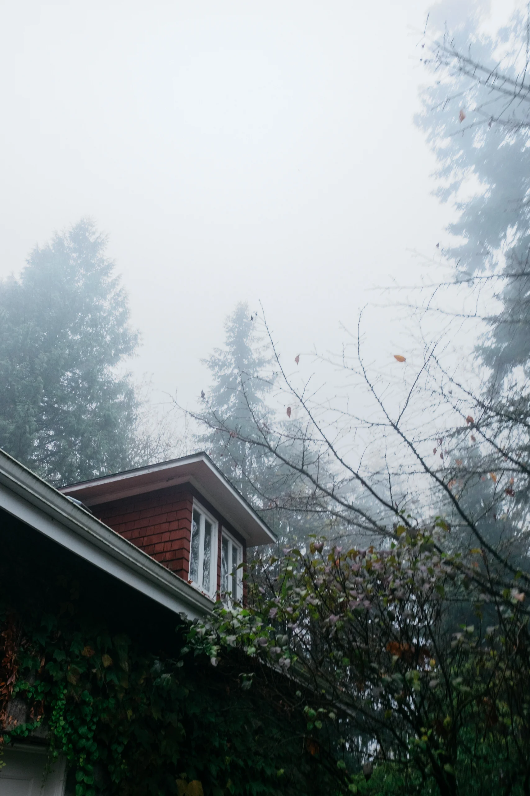 DSCF5067.jpg