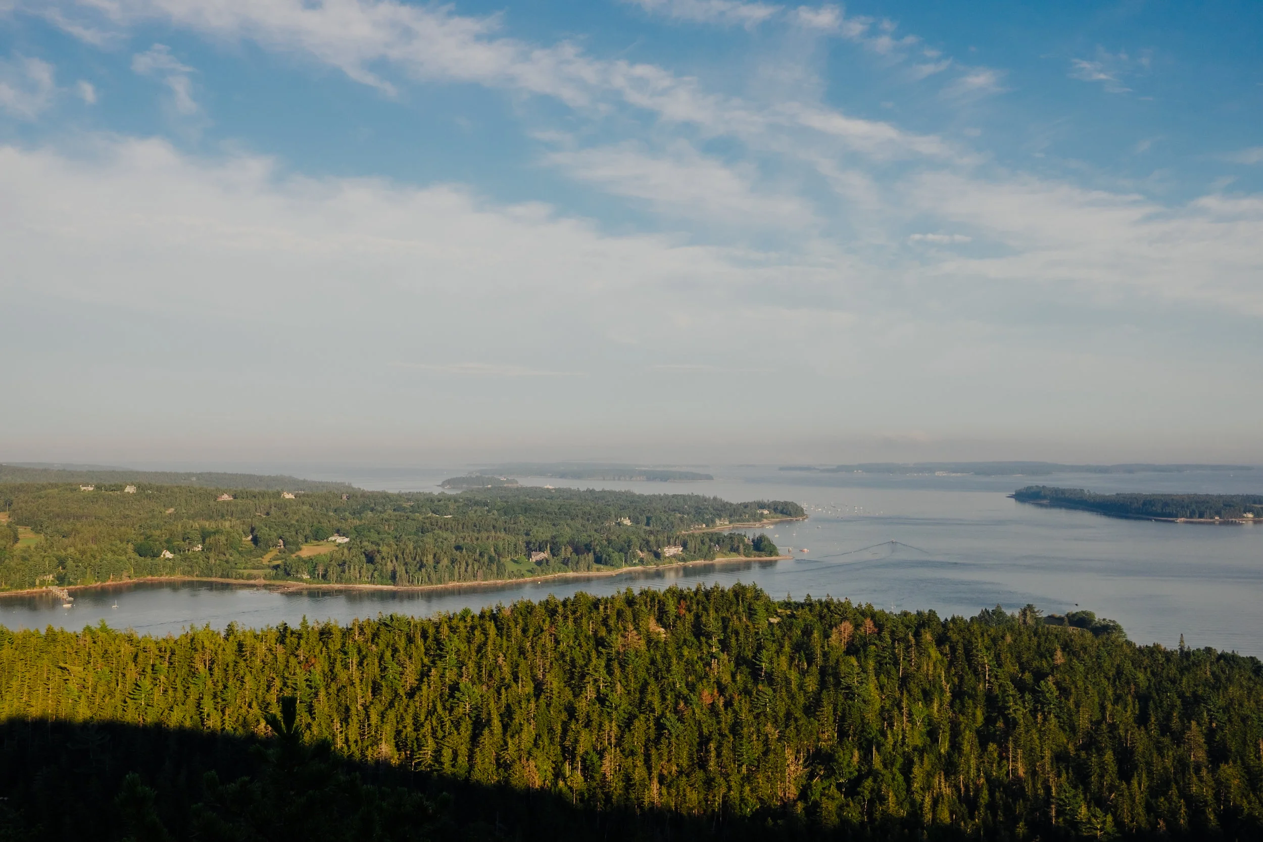 DSCF8849.jpg