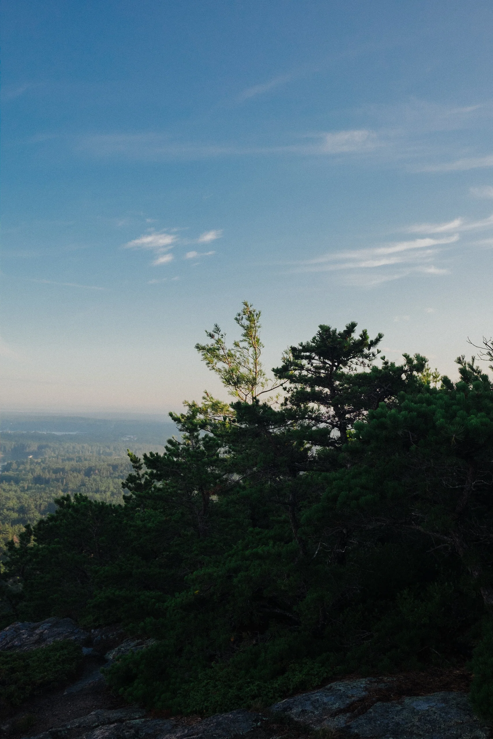 DSCF8866.jpg
