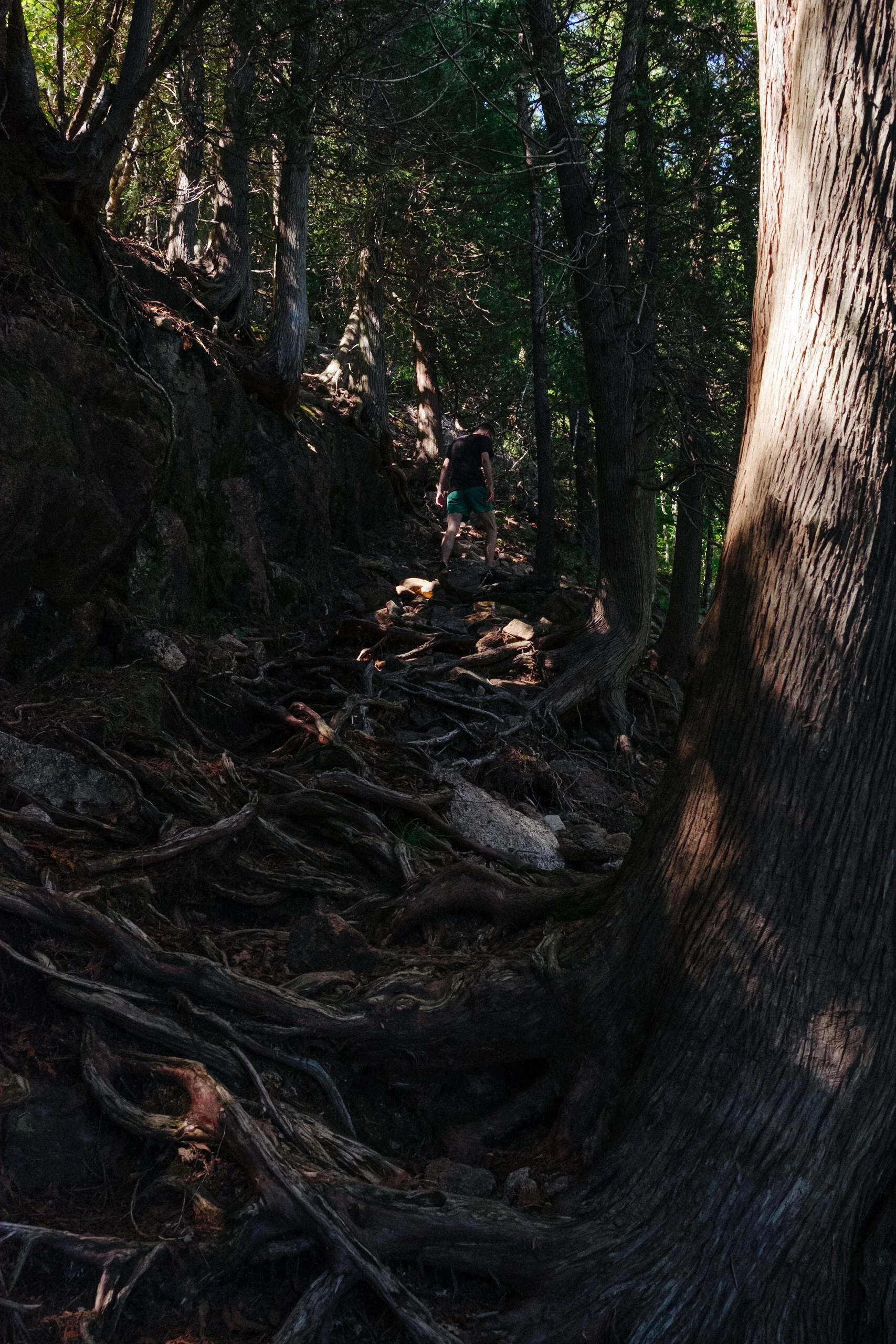 DSCF9163.jpg