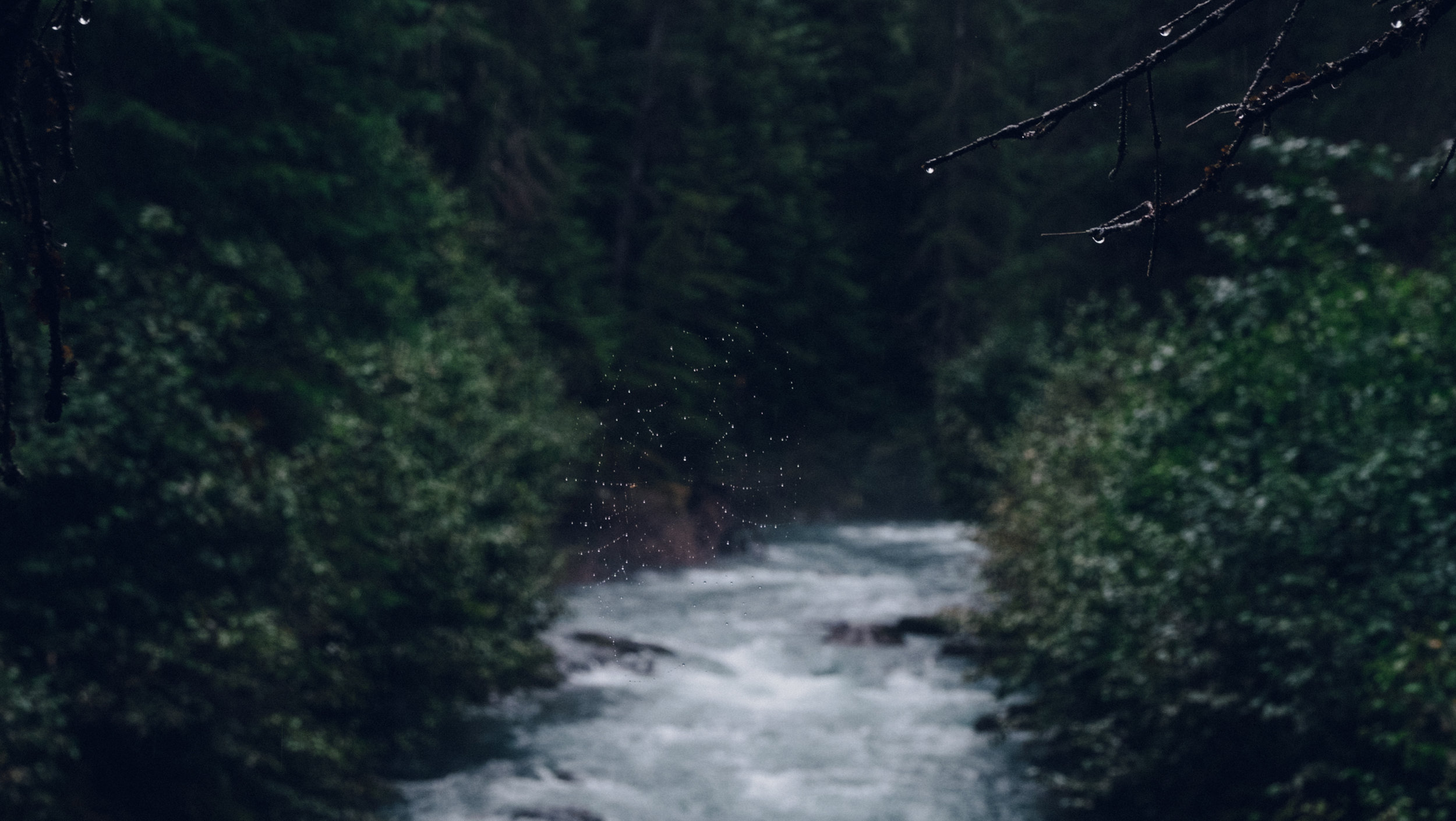 DSCF9399.jpg