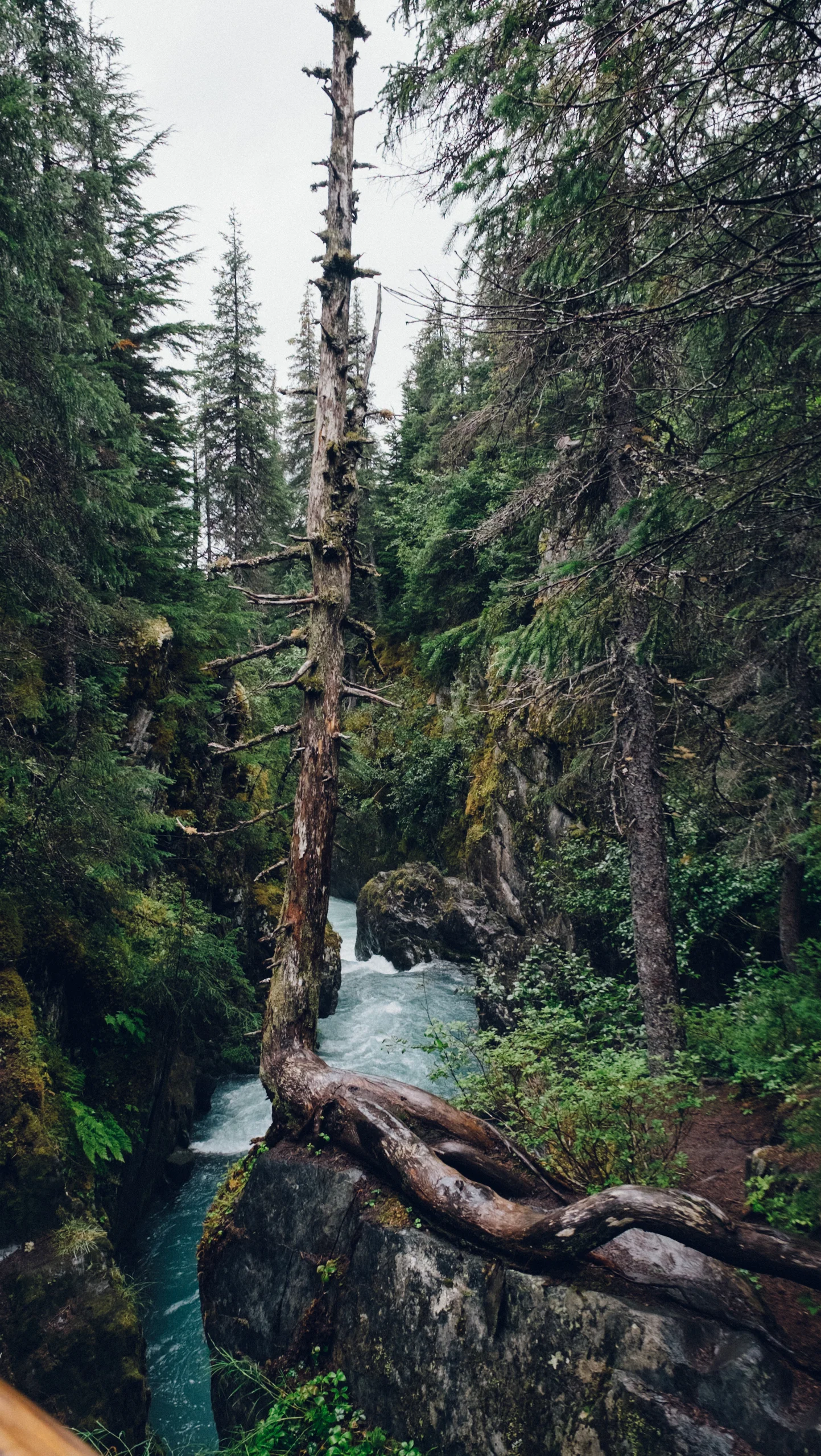 DSCF9390.jpg